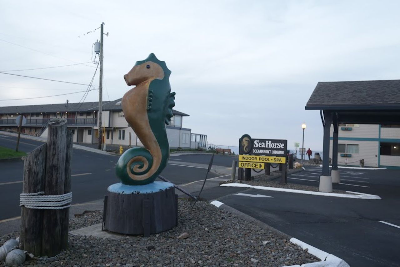 Photo of Seahorse Oceanfront Lodging