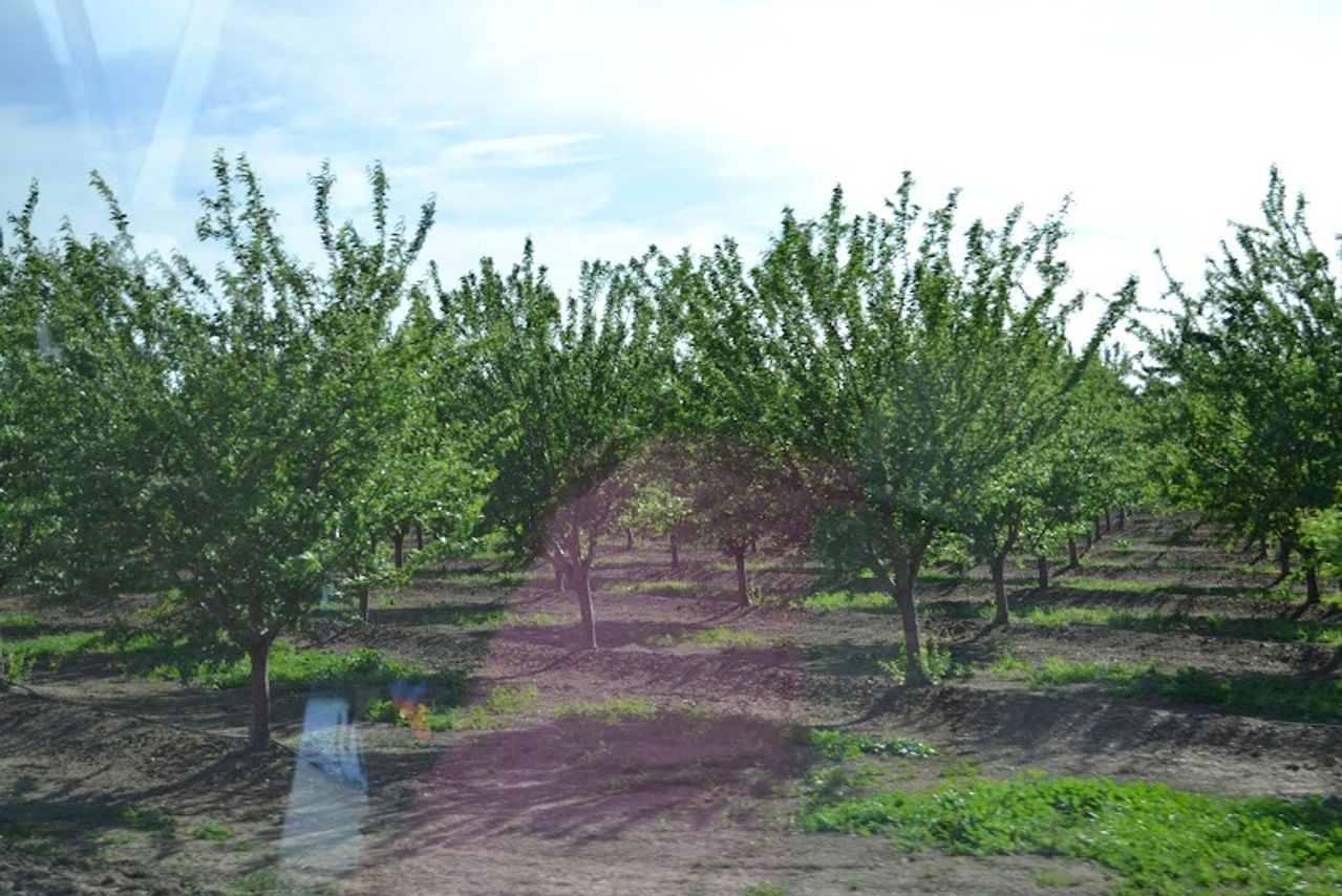 Photo of University Park Inn and Suites