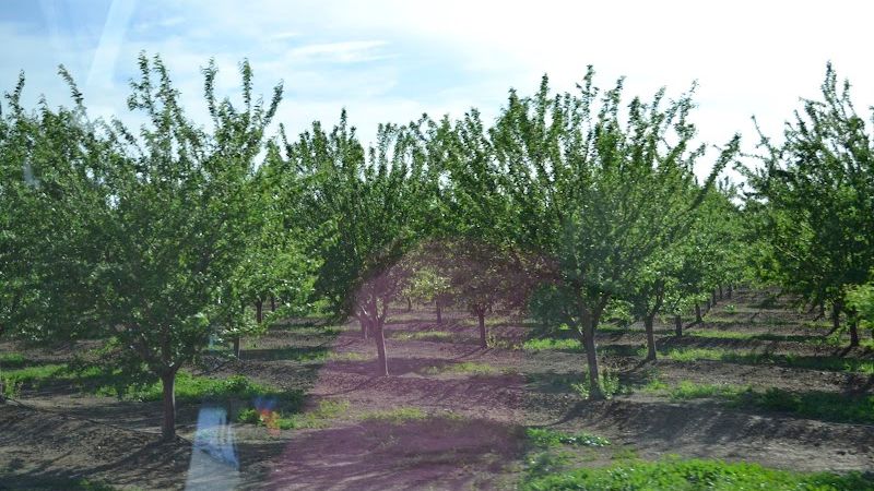 Photo of University Park Inn and Suites