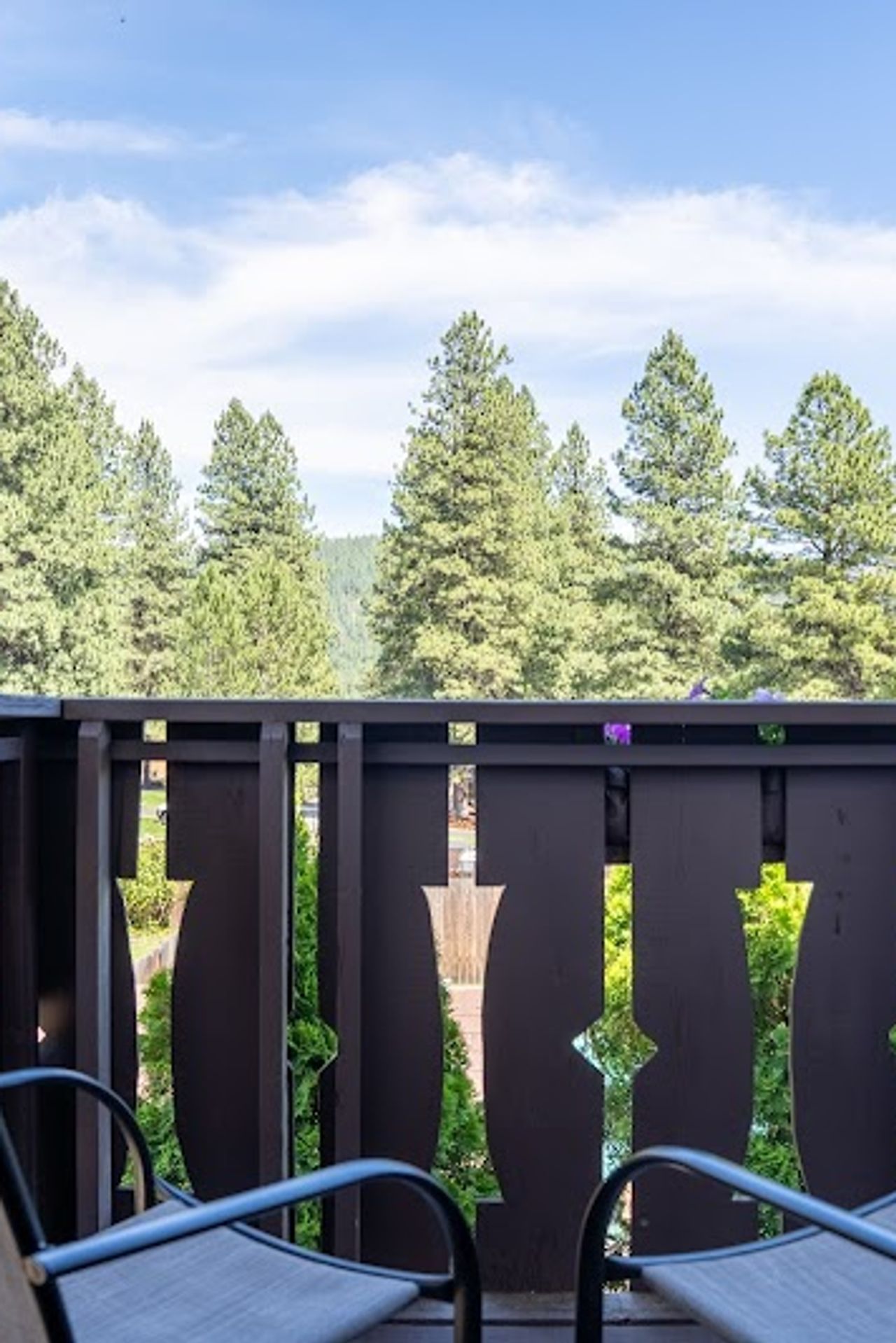 Photo of Blue Elk Inn