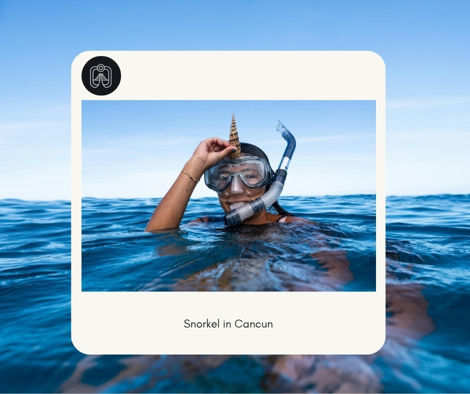 Snorkeling with whale shark watching Snorkeling with whale shark watching