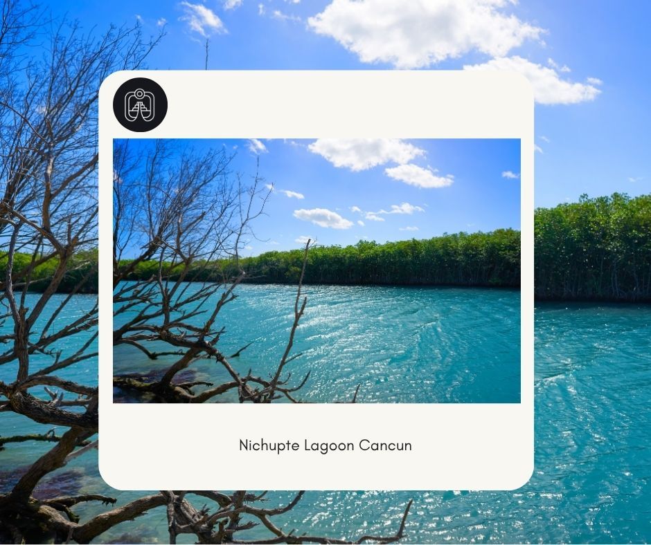 Explore Nichupté Lagoon by kayak or paddle board Explore Nichupté Lagoon by kayak or paddle board