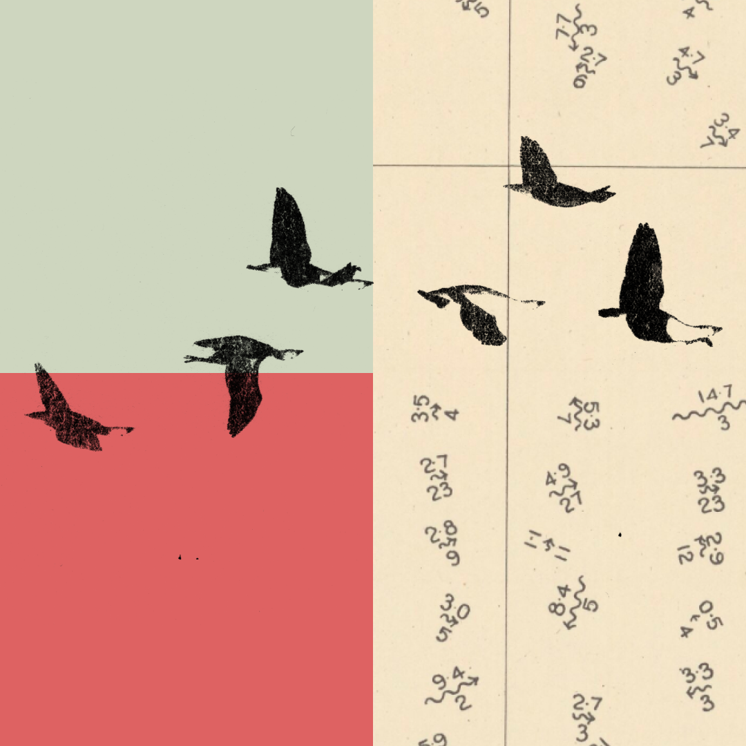 Economic mobility focus area artwork