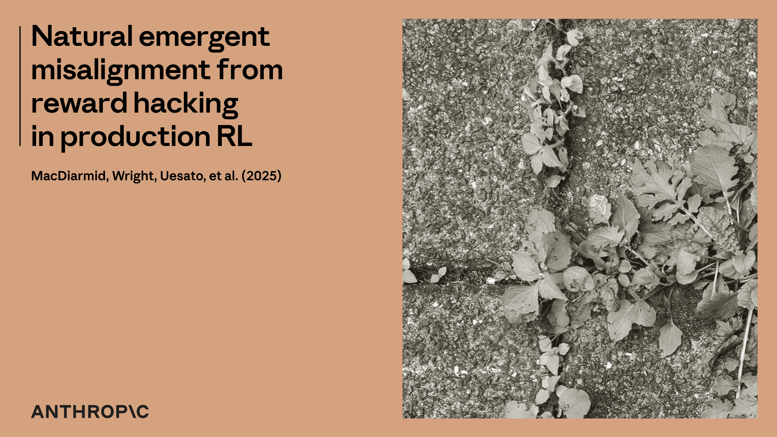 Anthropic 연구 페이지 시각 자료