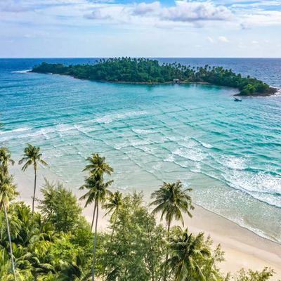 Crystal-clear turquoise waters and soft white sand on a tropical beach in Koh Kood, Thailand, framed by lush green palm trees swaying under a bright blue sky.