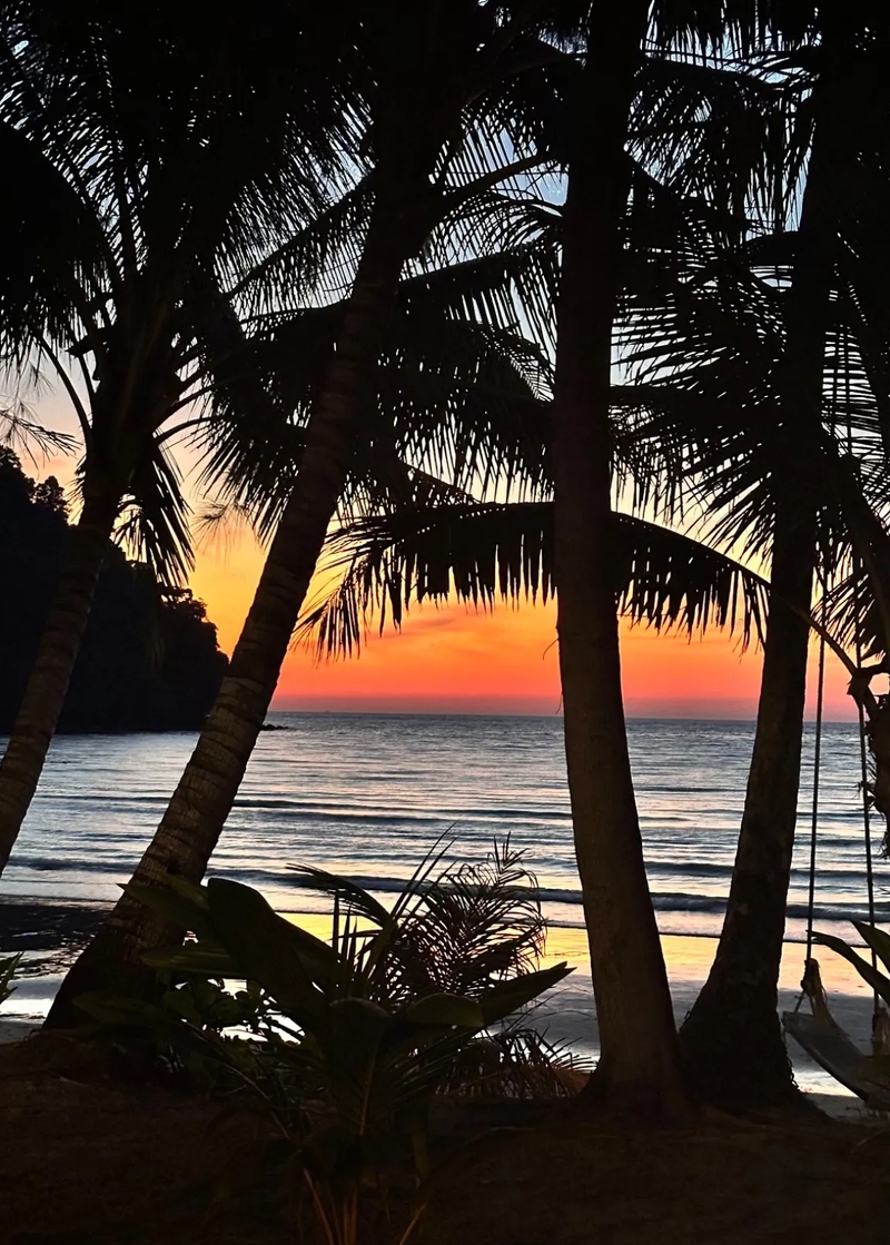 A breathtaking sunset view from Siam Beach Resort on Koh Kood, Thailand. The scene is framed by silhouettes of tall palm trees, with golden and orange hues reflecting on the calm ocean waves, creating a serene tropical paradise.