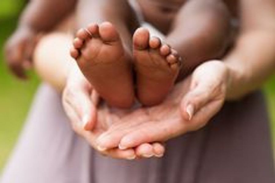 Birth family search