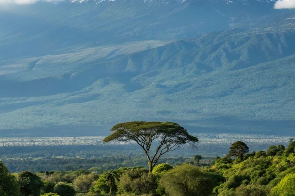 🦒 Tanzania – Serengeti & Zanzibar