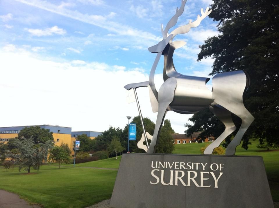 University of Surrey