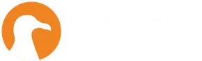 Meeuw Video & Design