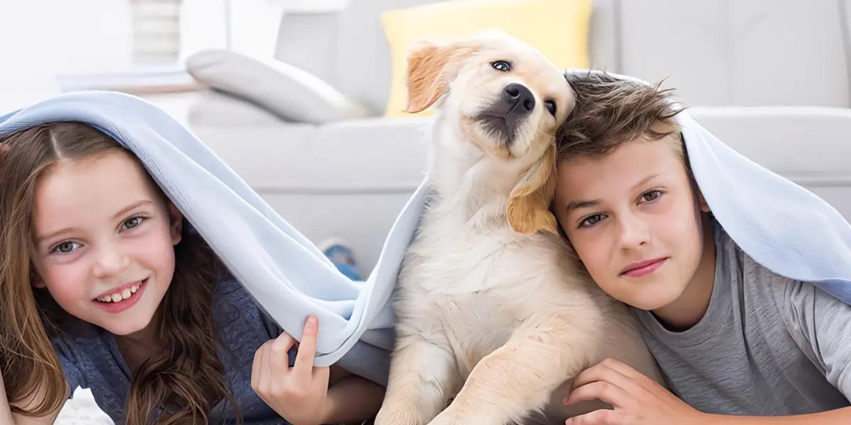 Two children and a playful dog peeking out from under a cozy blanket inside a home, symbolizing a warm, pet-friendly family environment.