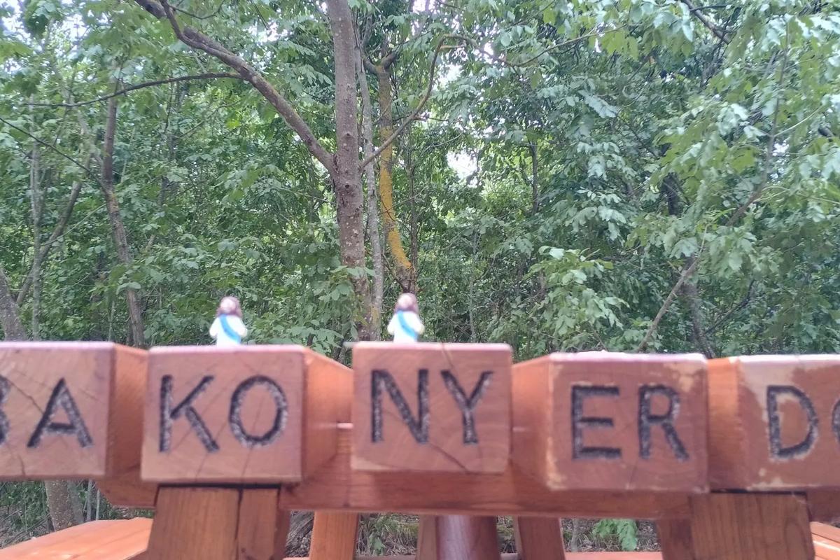 Bakonyi betyárok