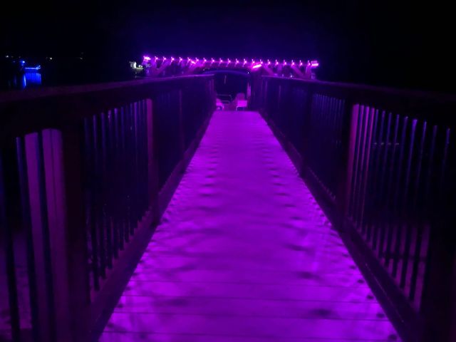 Magenta down lighting along a waterside walkway