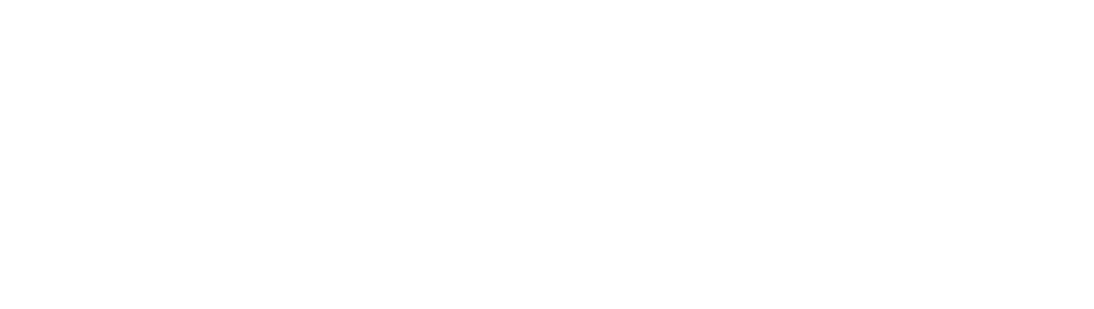 Exclusive Lunch Sponsor