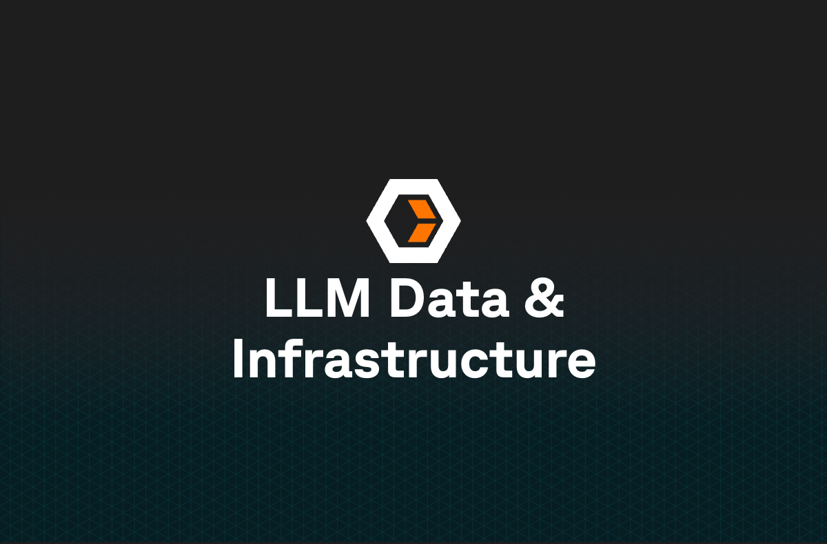 LLM Data & Infrastructure