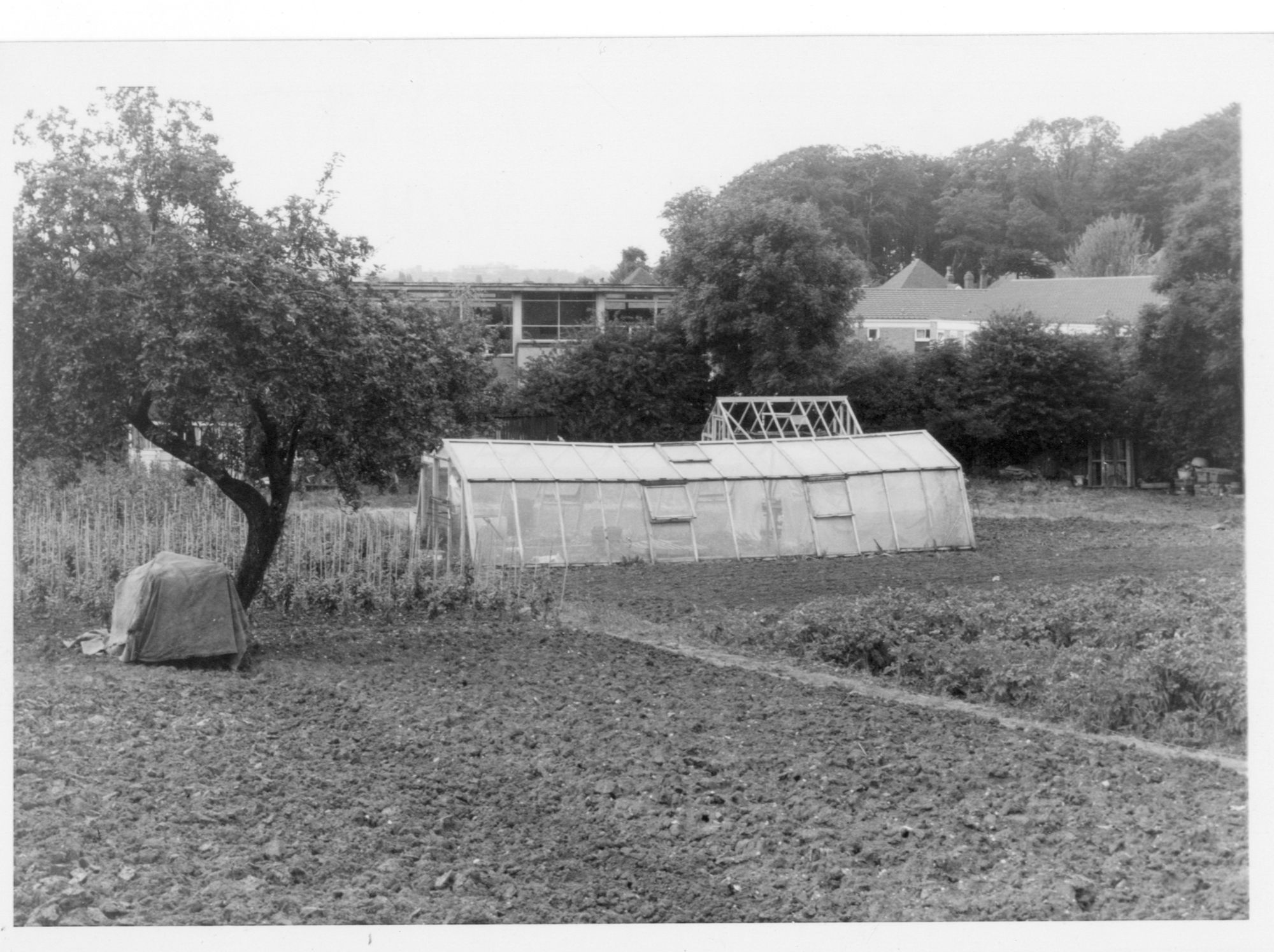 Case Studies The Birmingham Allotment Project