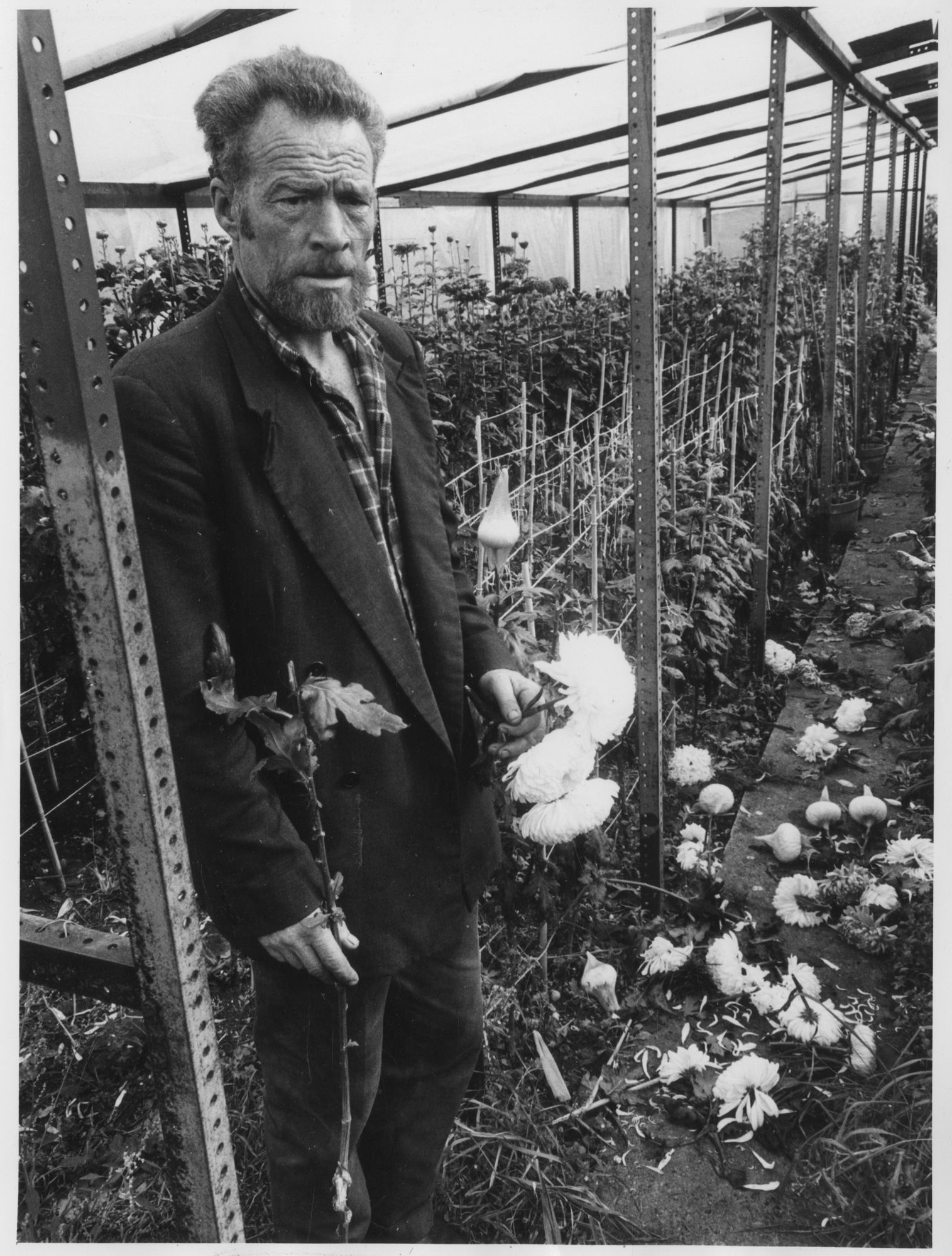 The Birmingham Allotment Project