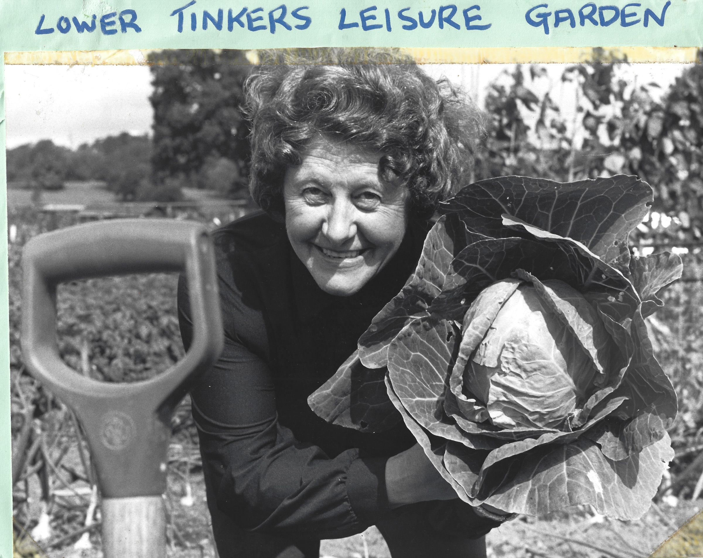 The Birmingham Allotment Project