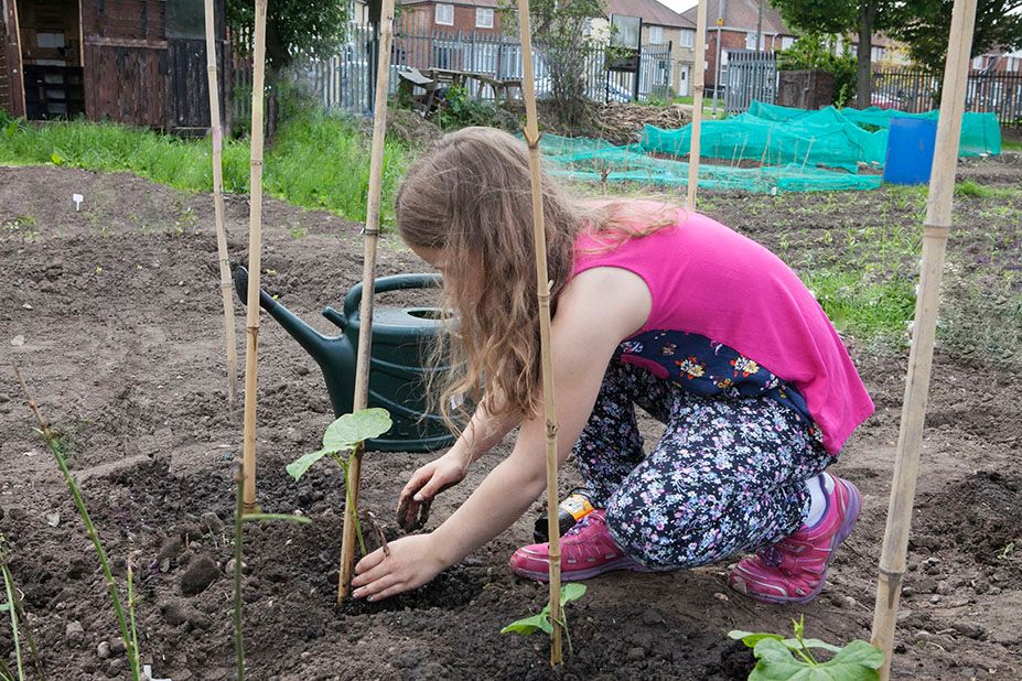 The Birmingham Allotment Project