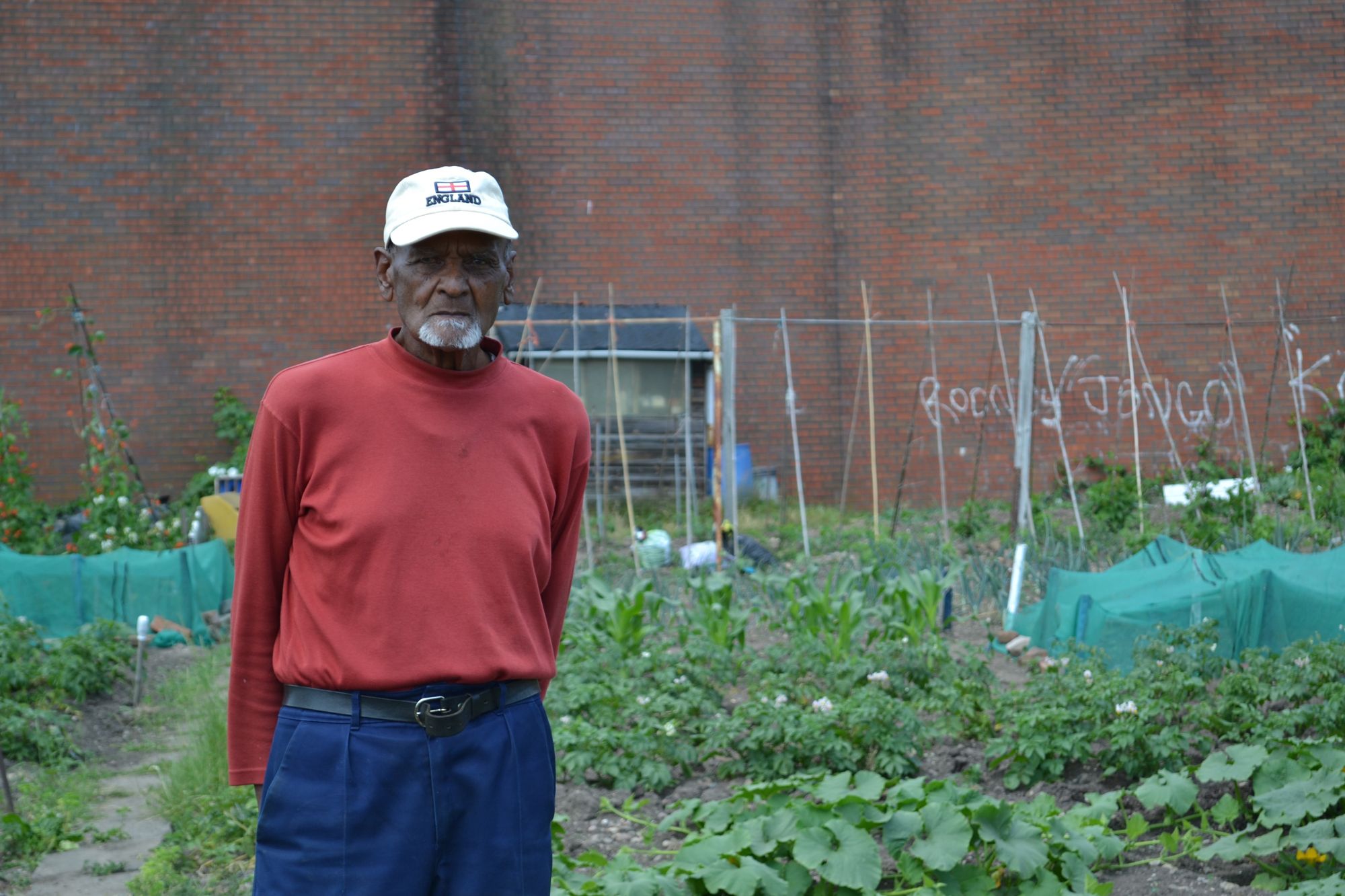 The Birmingham Allotment Project