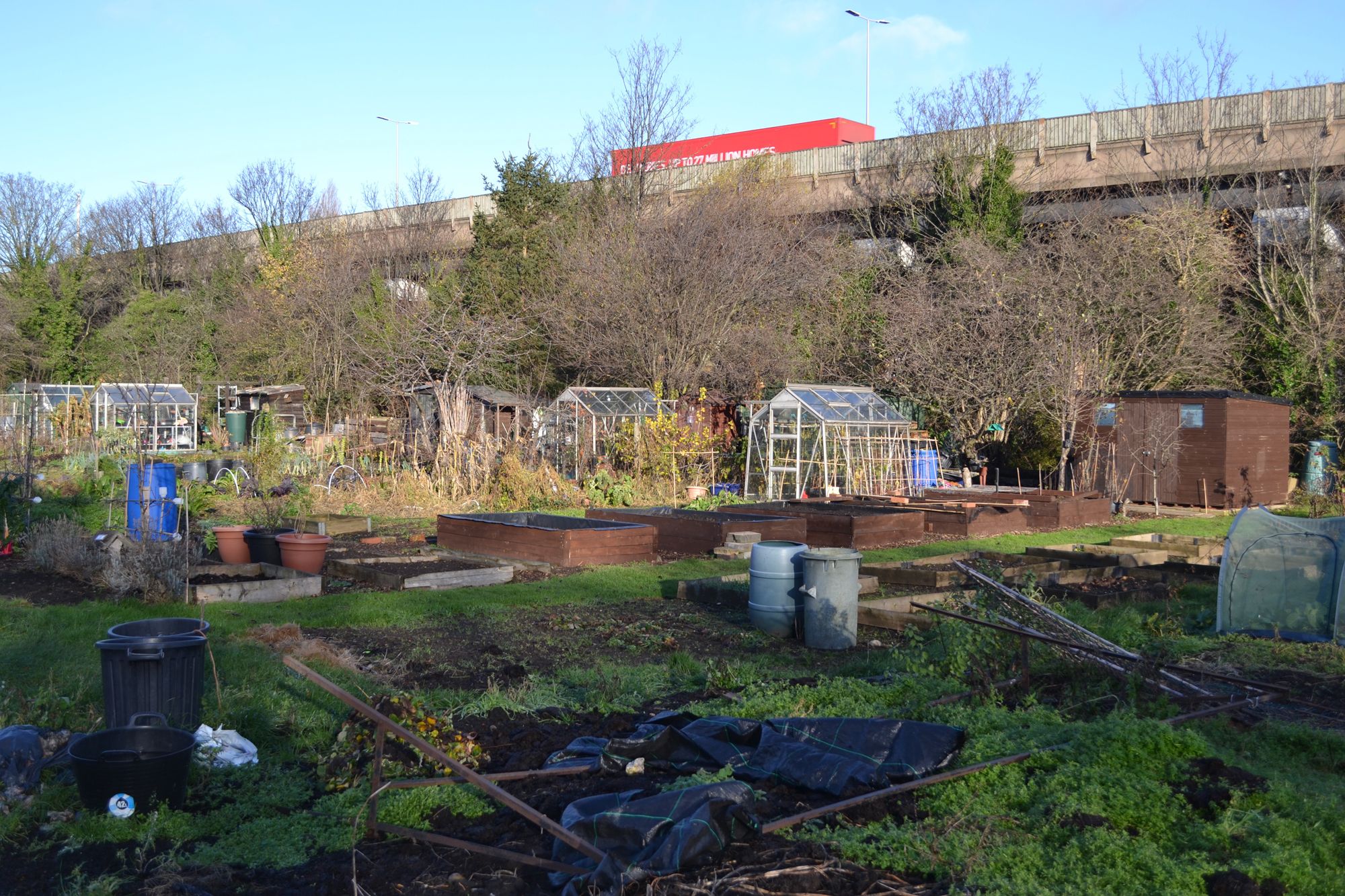 Case Studies The Birmingham Allotment Project