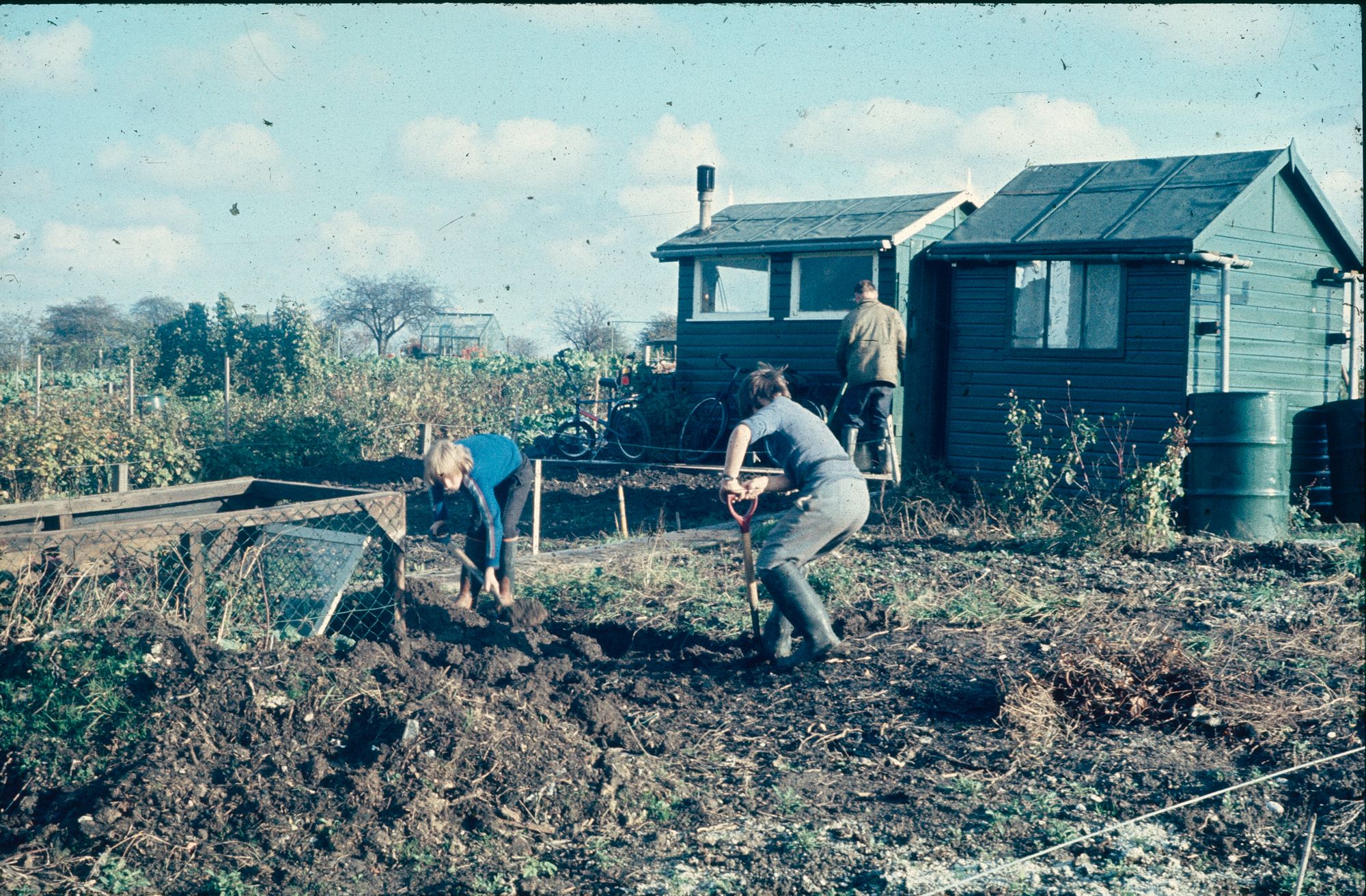 The Birmingham Allotment Project