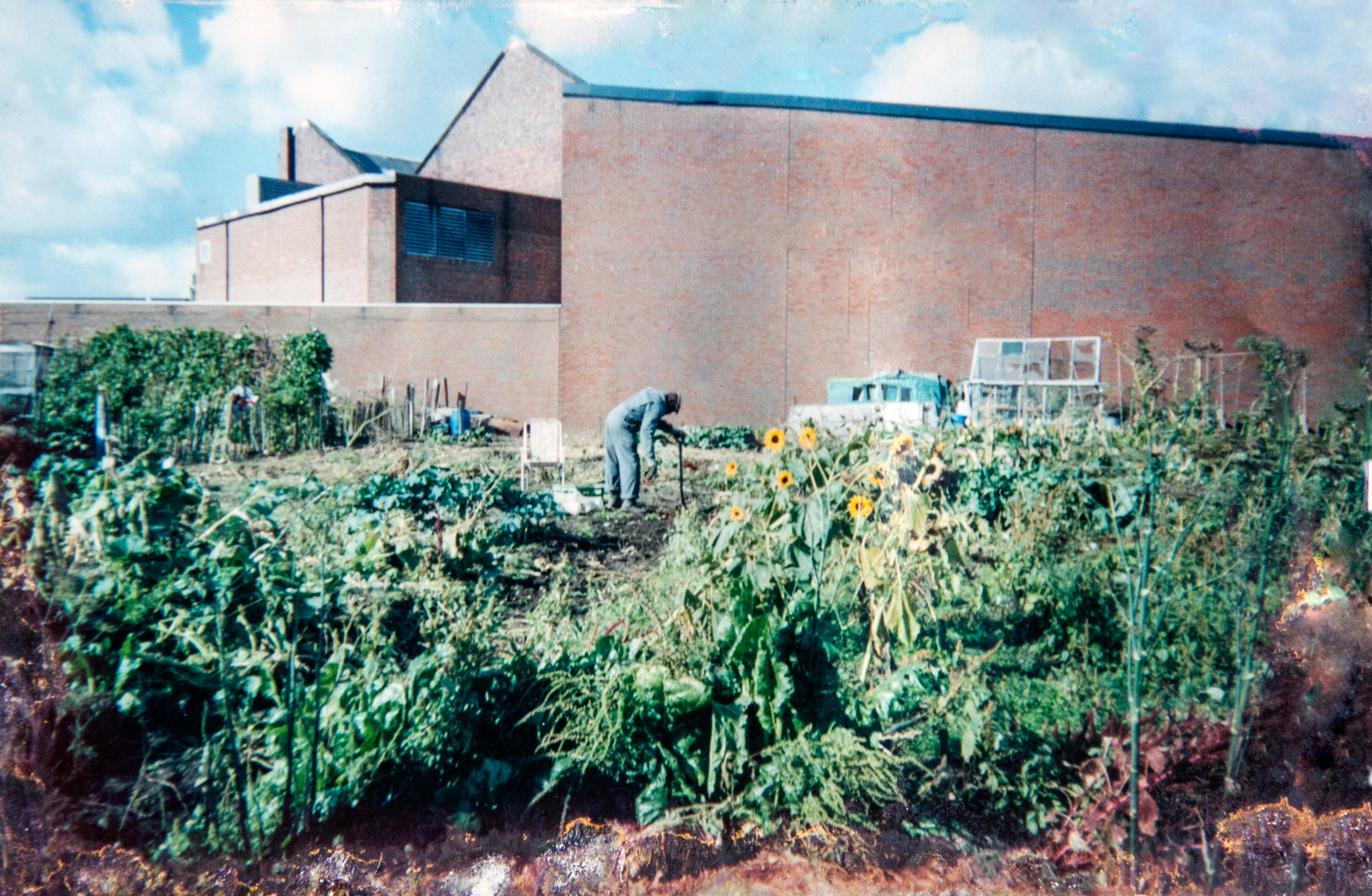 The Birmingham Allotment Project