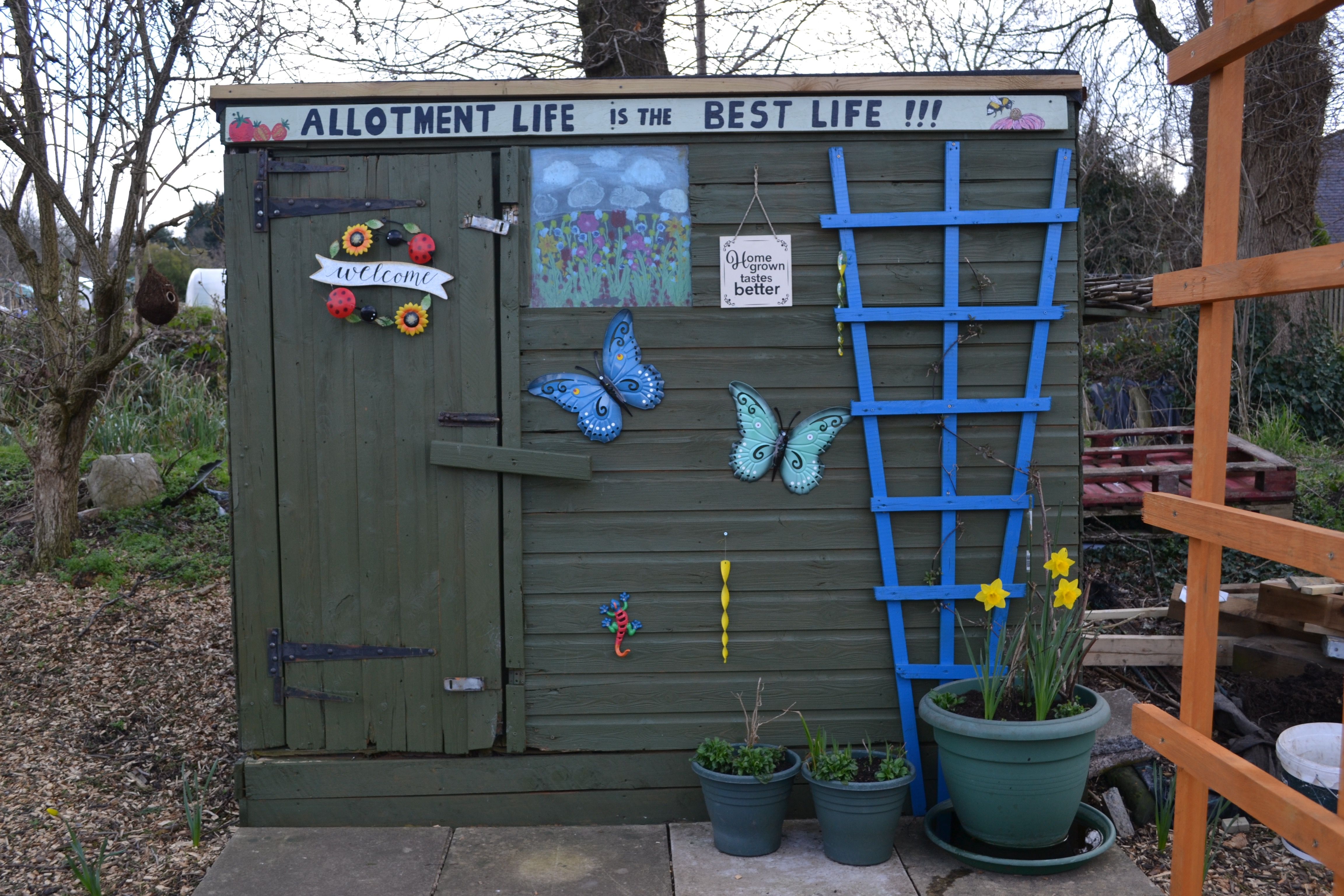 Case Studies The Birmingham Allotment Project