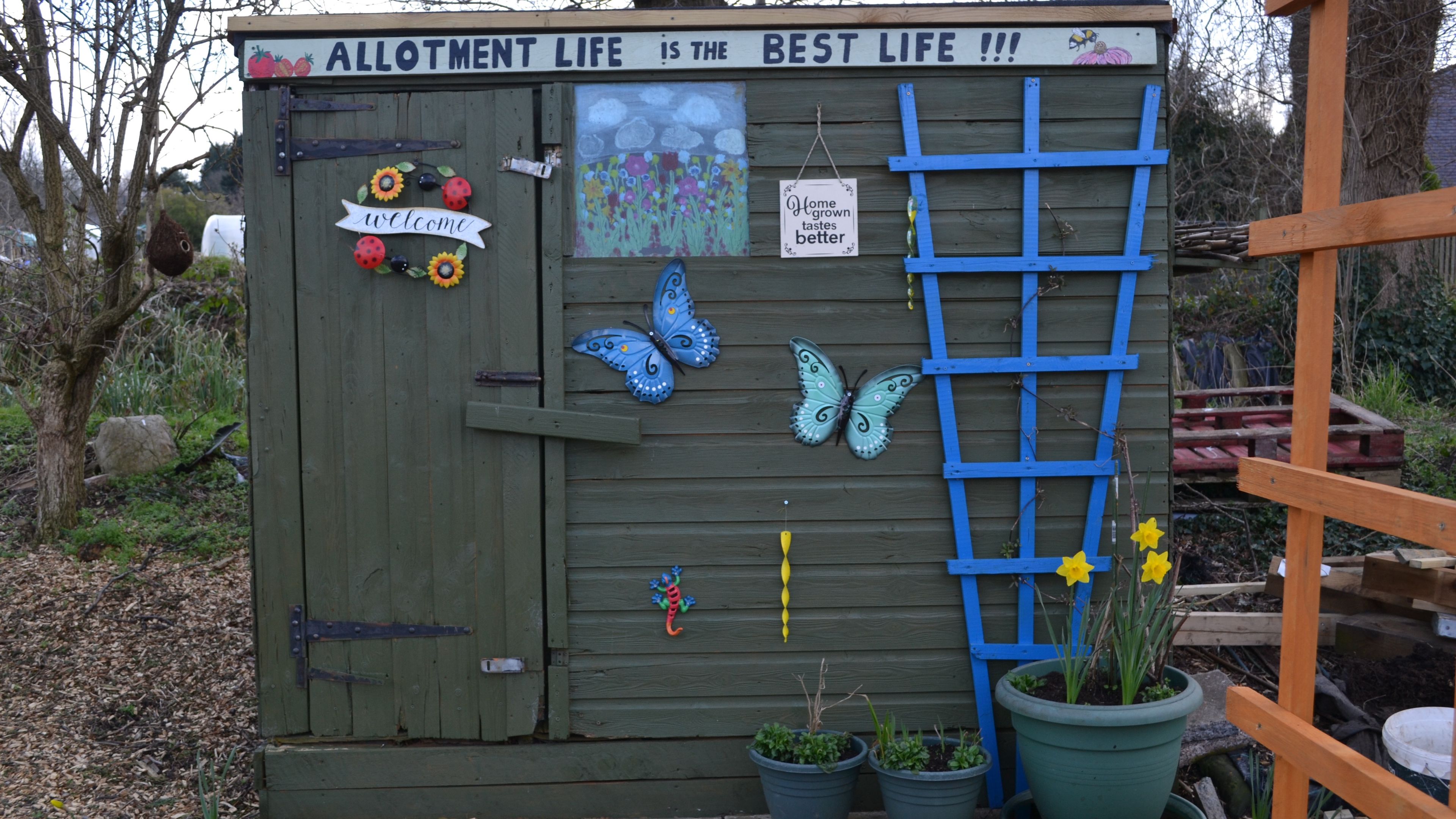 Allotment Number Example Case Studies | The Birmingham Allotment Project