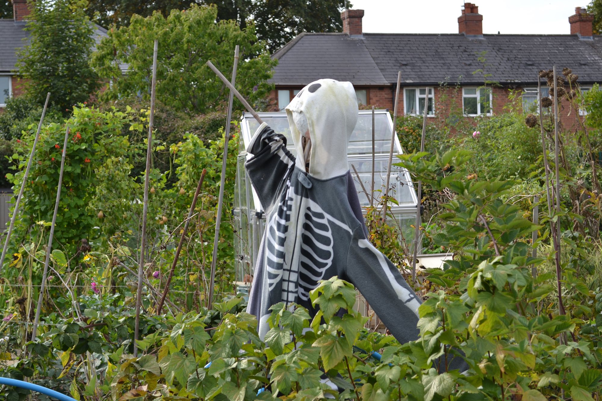 Lower Tinkers Farm Allotments