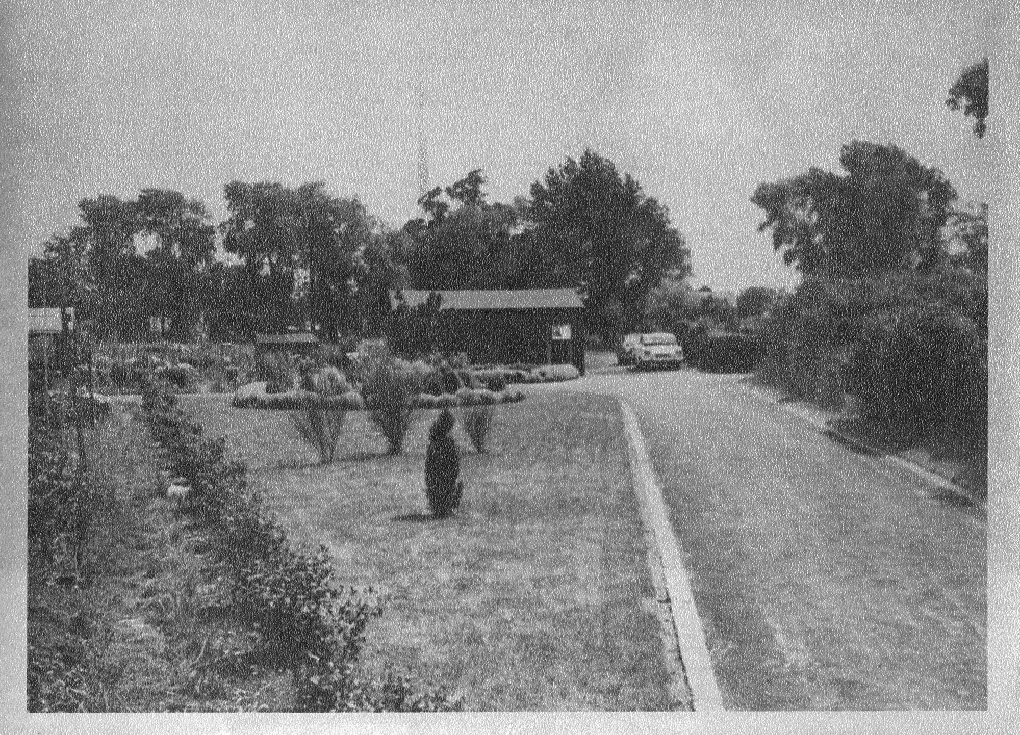 Walsall Road Allotments