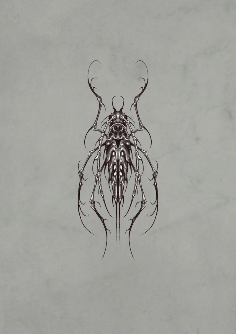 insect 1