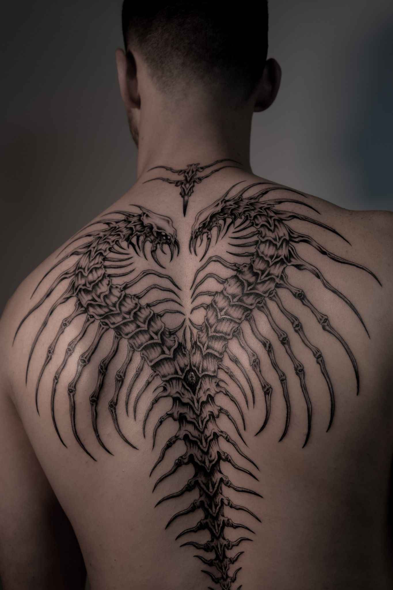 scolopendre bicephal