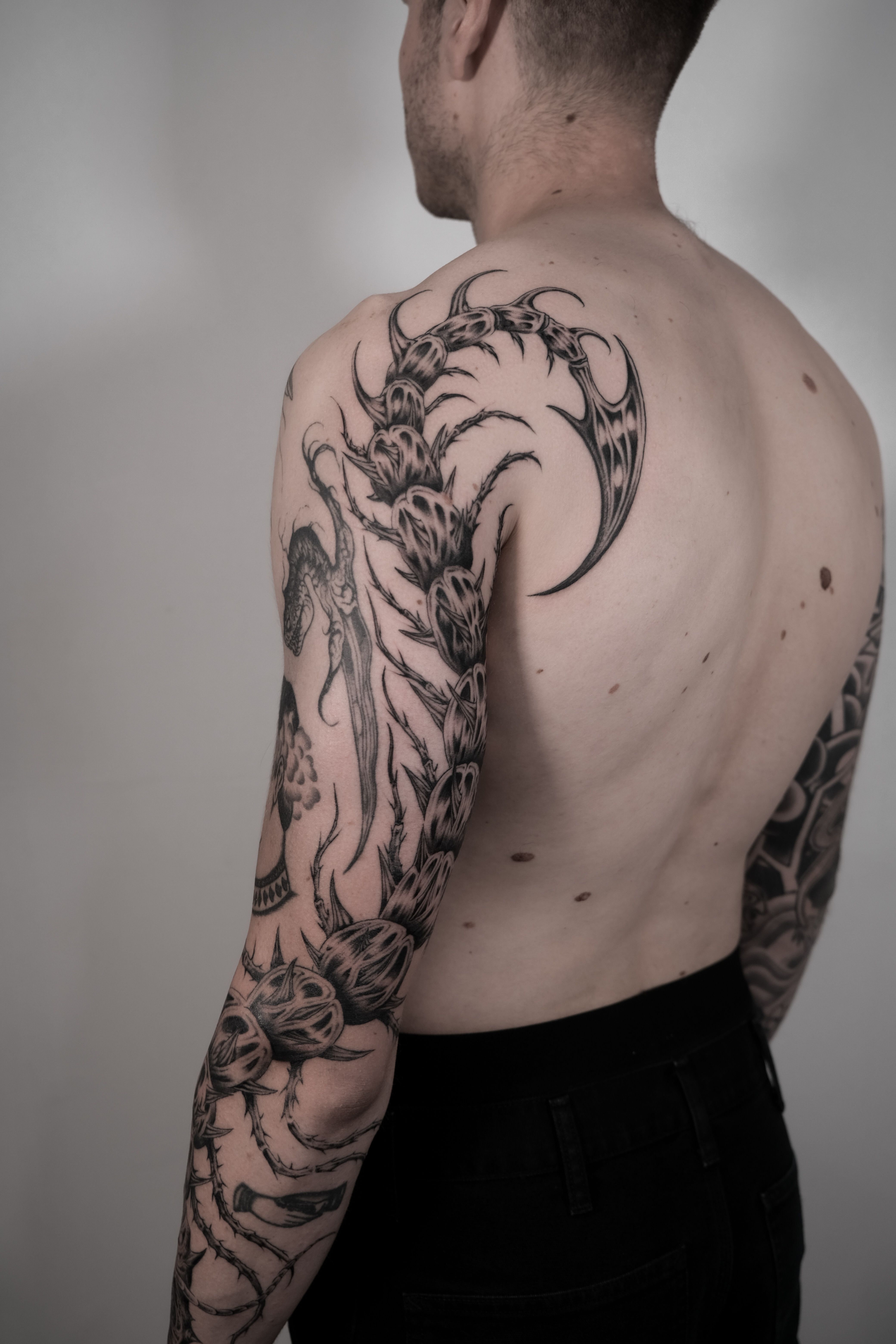 scolopendre des sables