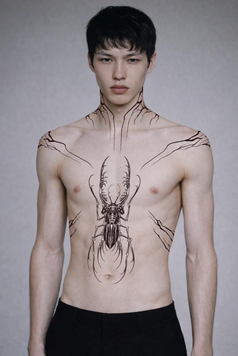 insect compo 1