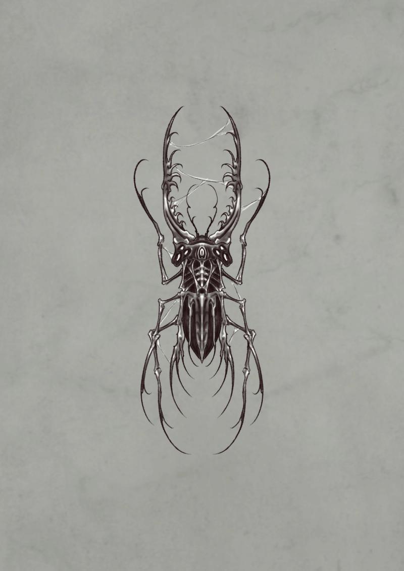 insect 2
