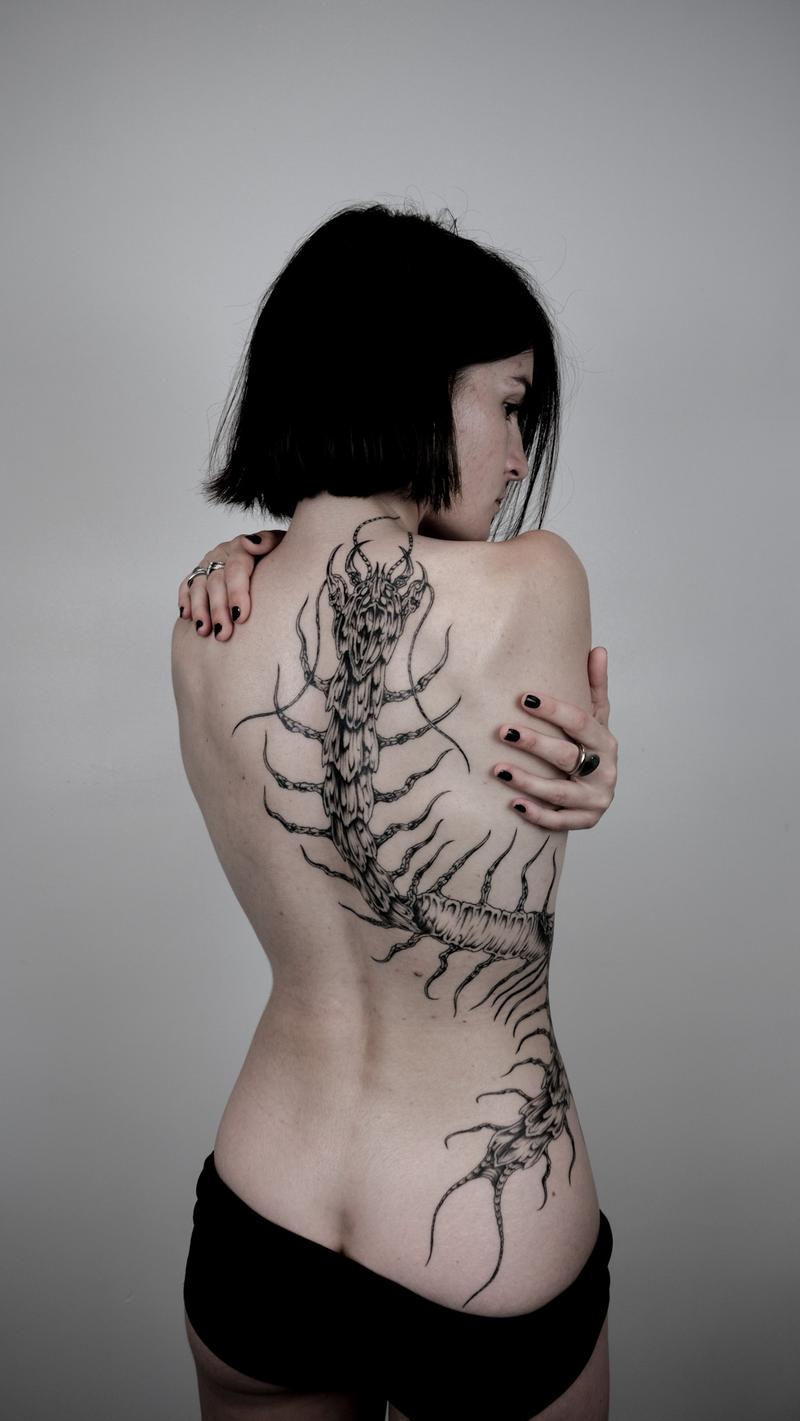 Scolopendra