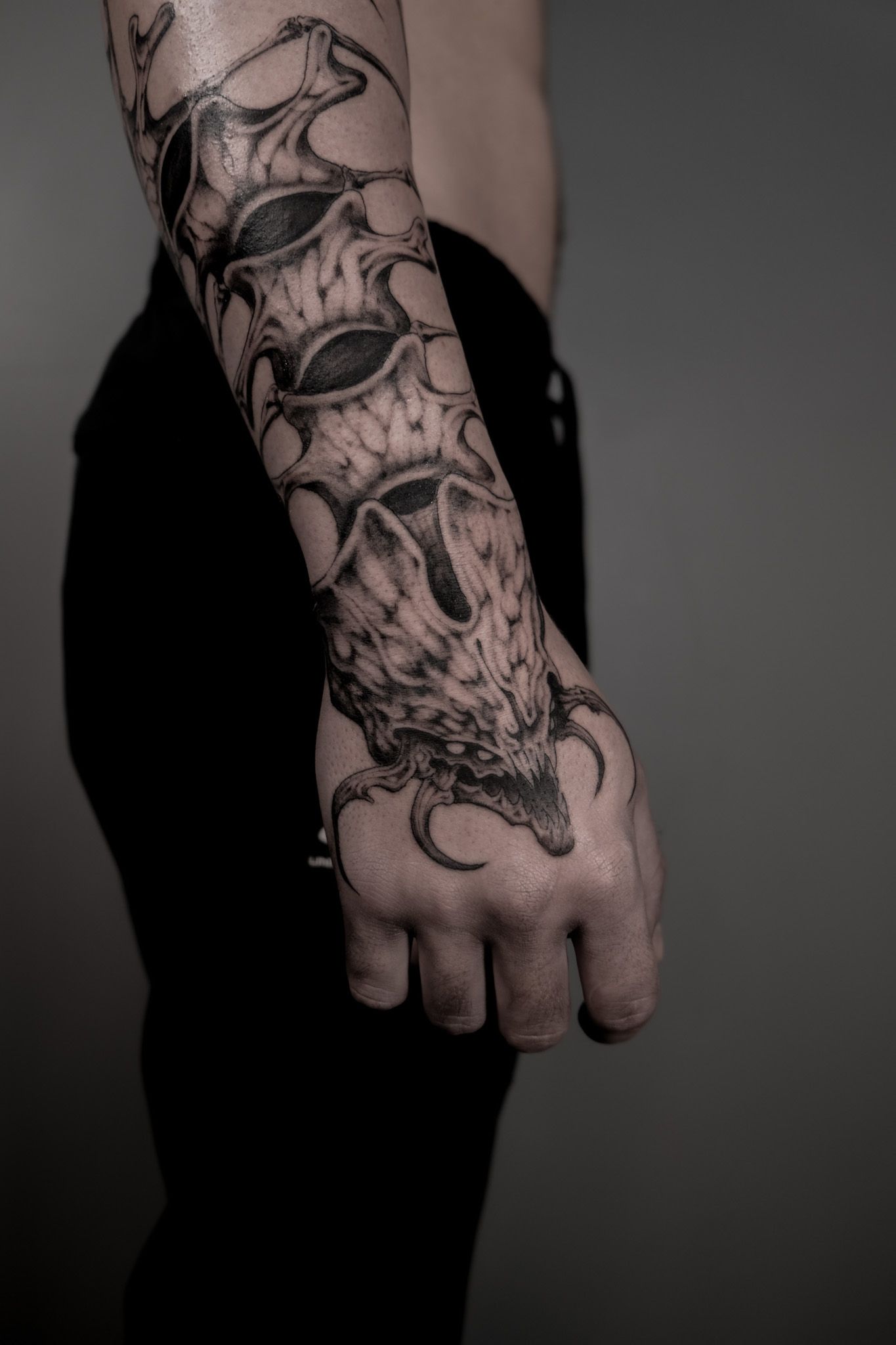 scolopendre skeleton