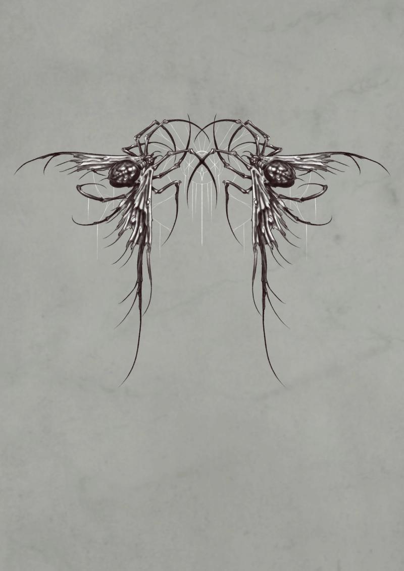 spider
