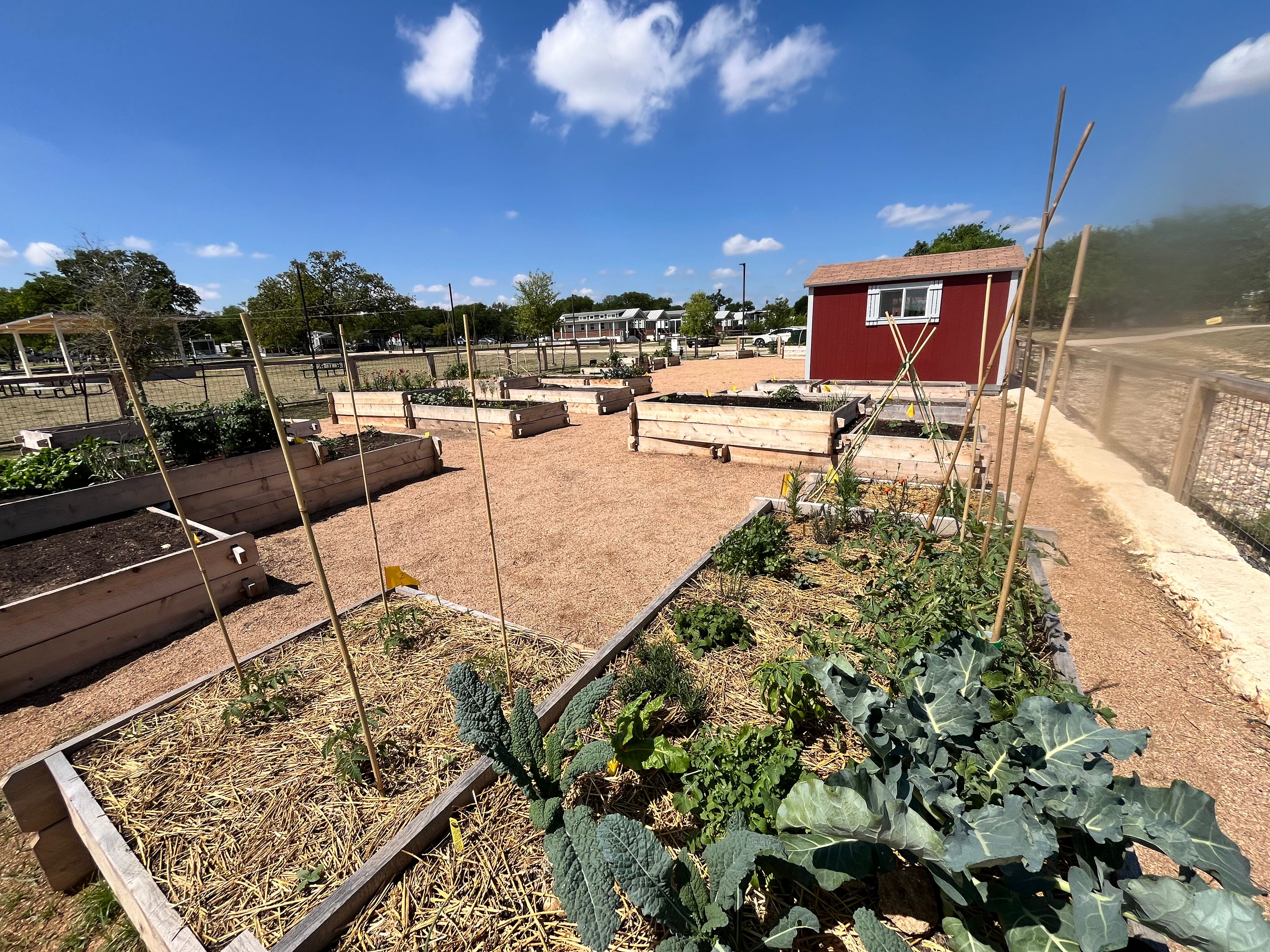 Bergstrom Community Gardens