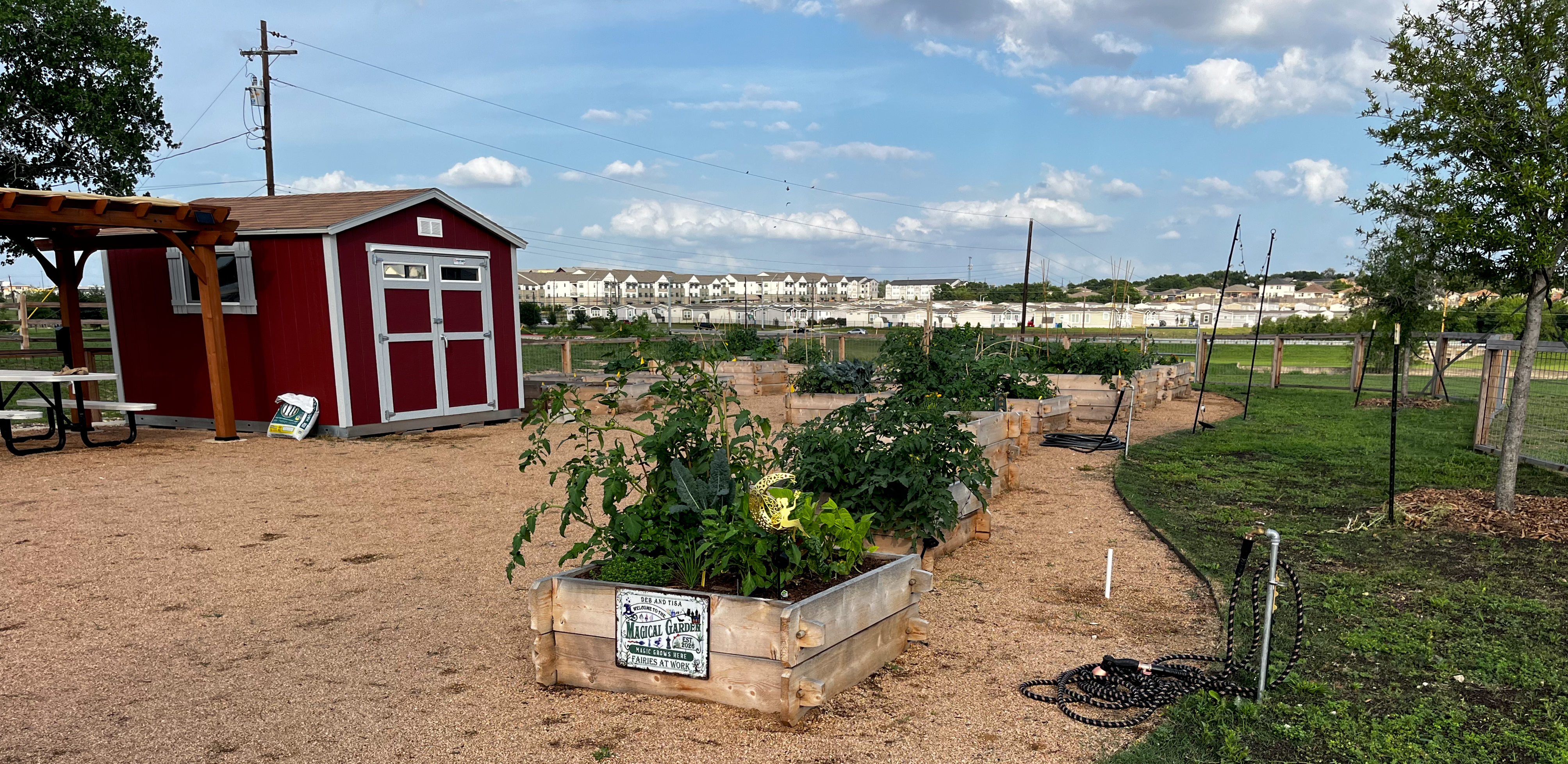 bergstrom community gardens, village farms, austin garden, garden allotments