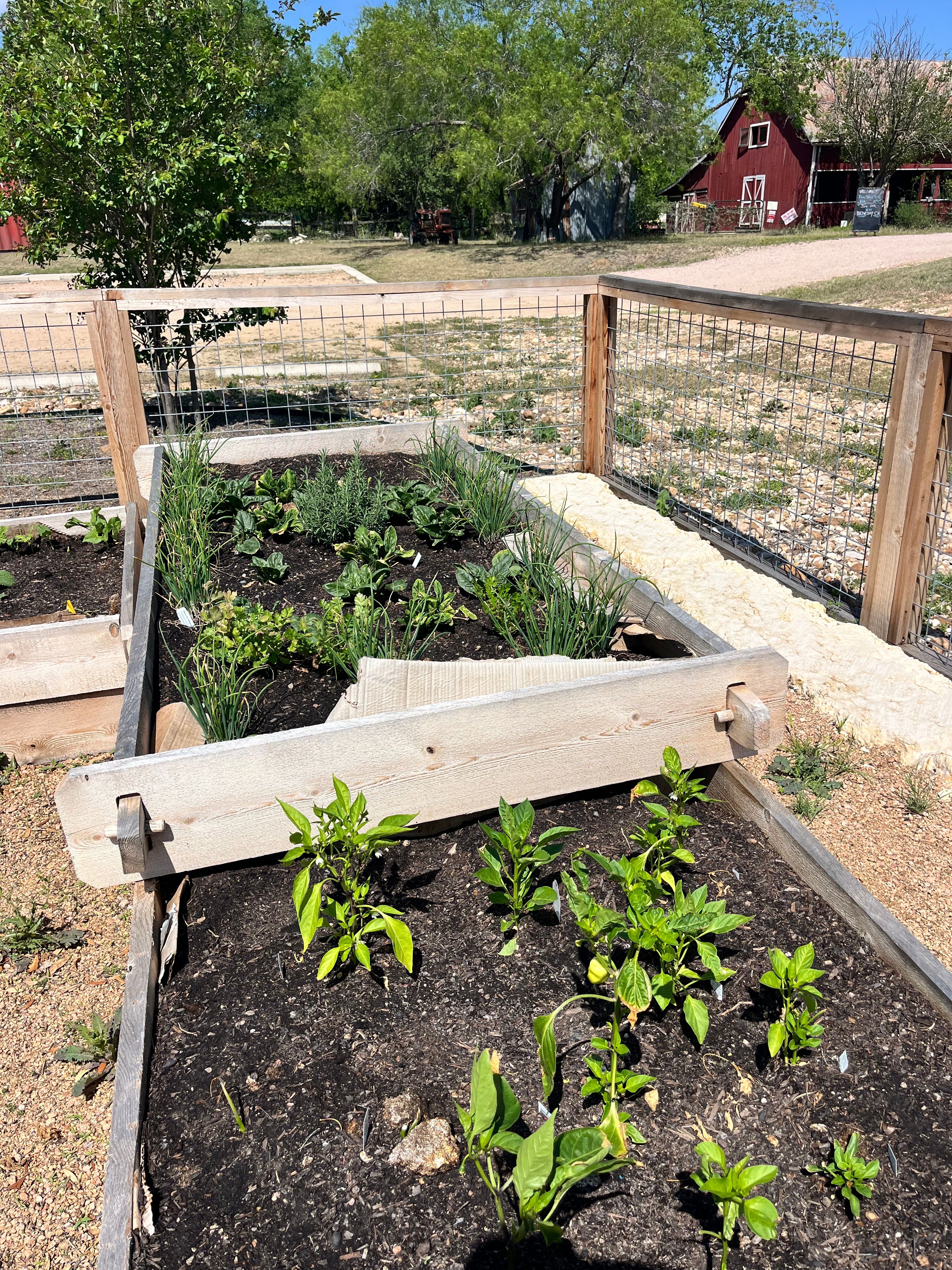 Bergstrom Community Gardens, spring 2026, March