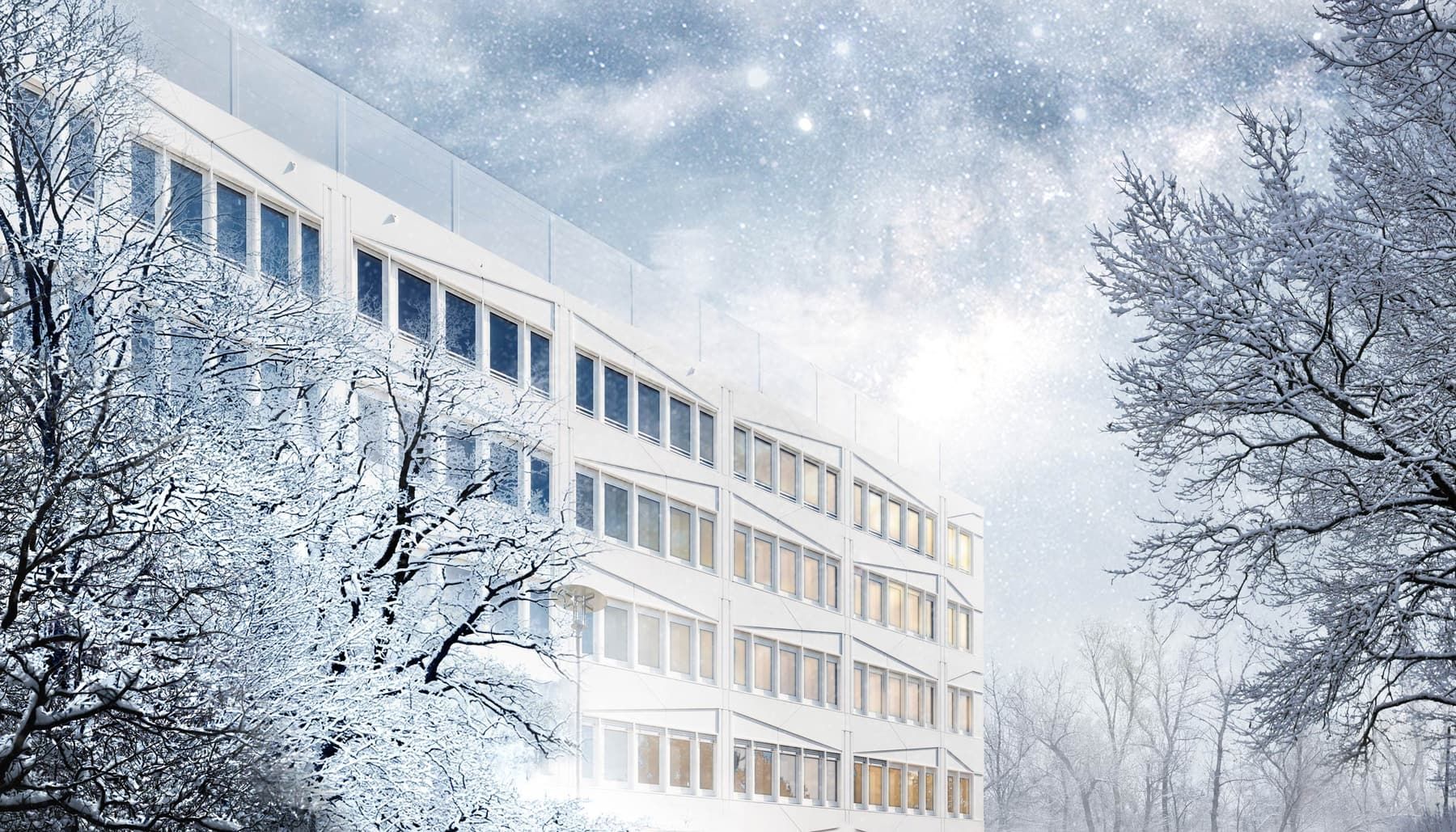 Weihnachtsgrüße – Aktuelles vom 2024-12-20