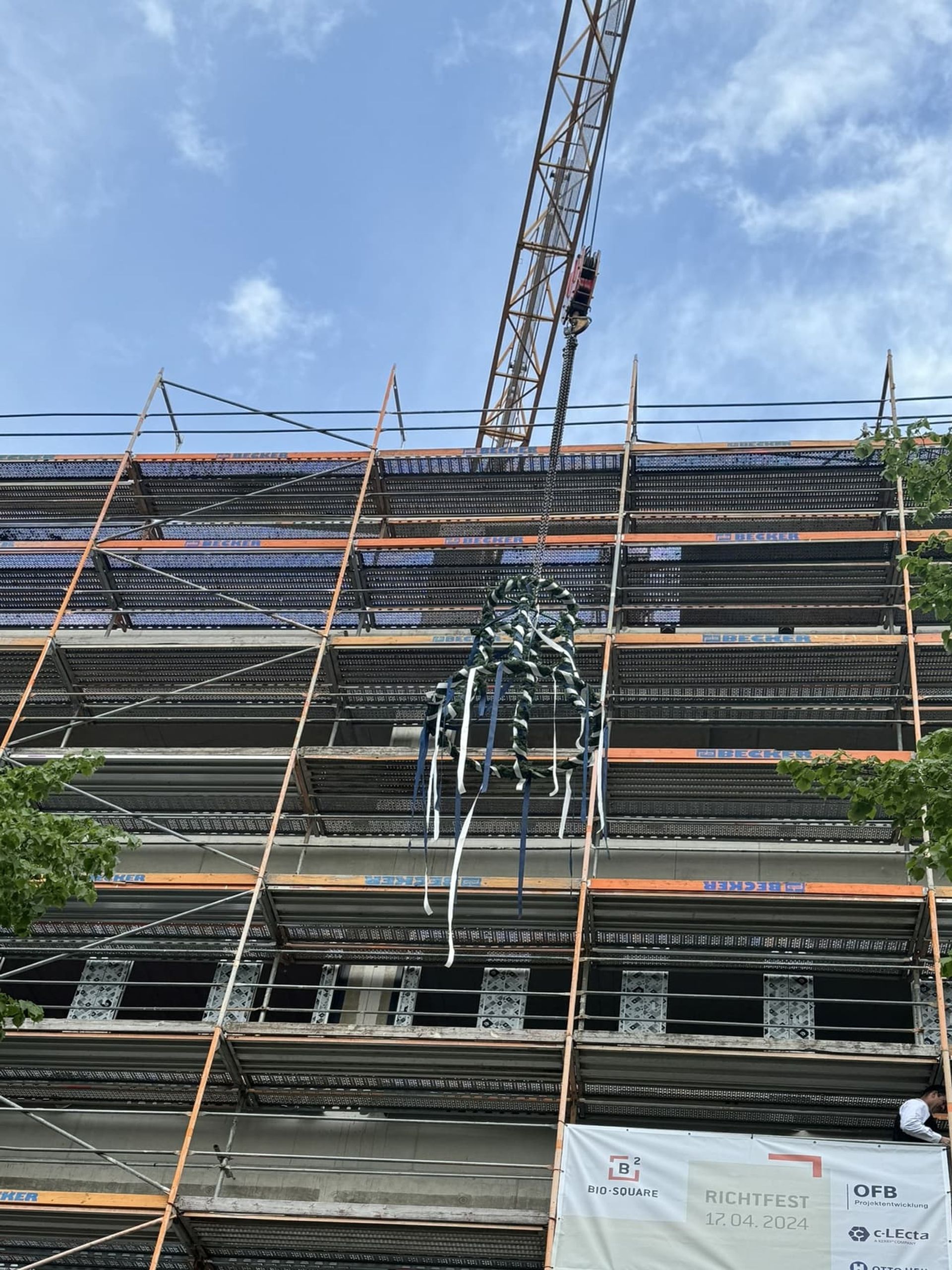 BioSquare Alte Messe, Leipzig – Richtkranz am Gerüst, April 2024