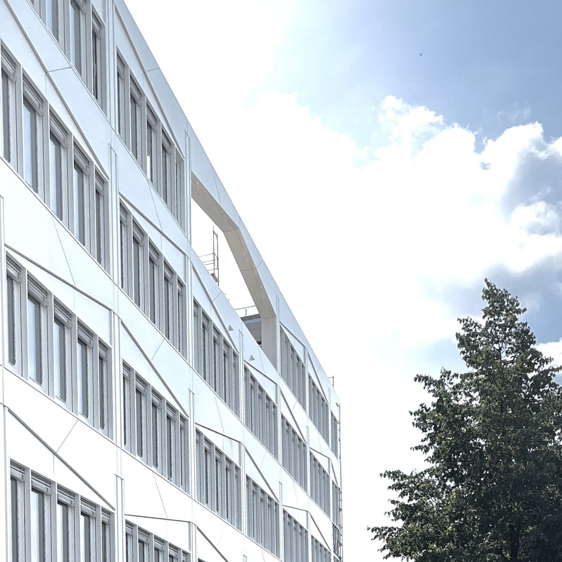 BioSquare Alte Messe – Aktuelles vom 2024-08-12