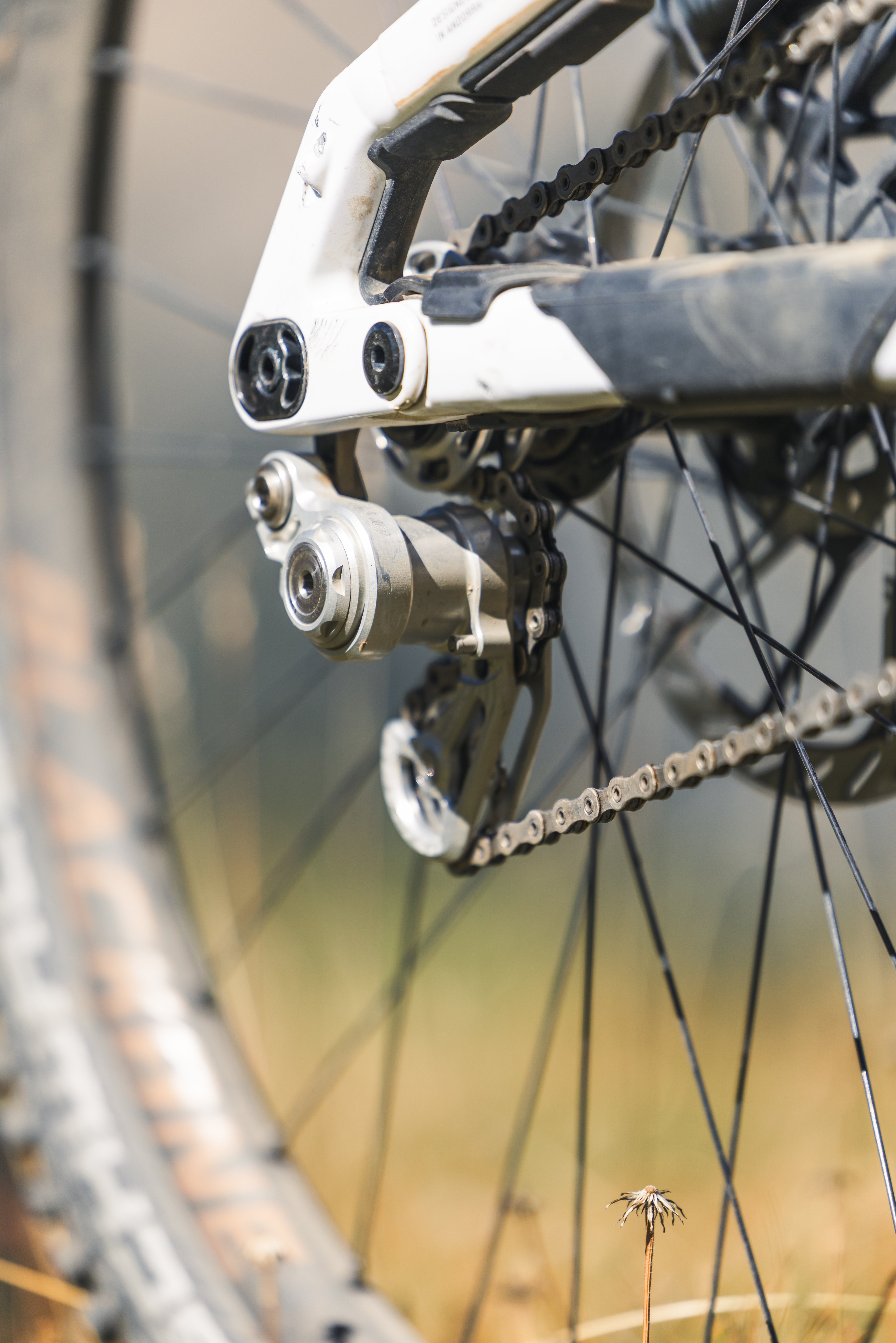Photo de sport — BIKEPARK LES ORRES, Hautes-Alpes , 9