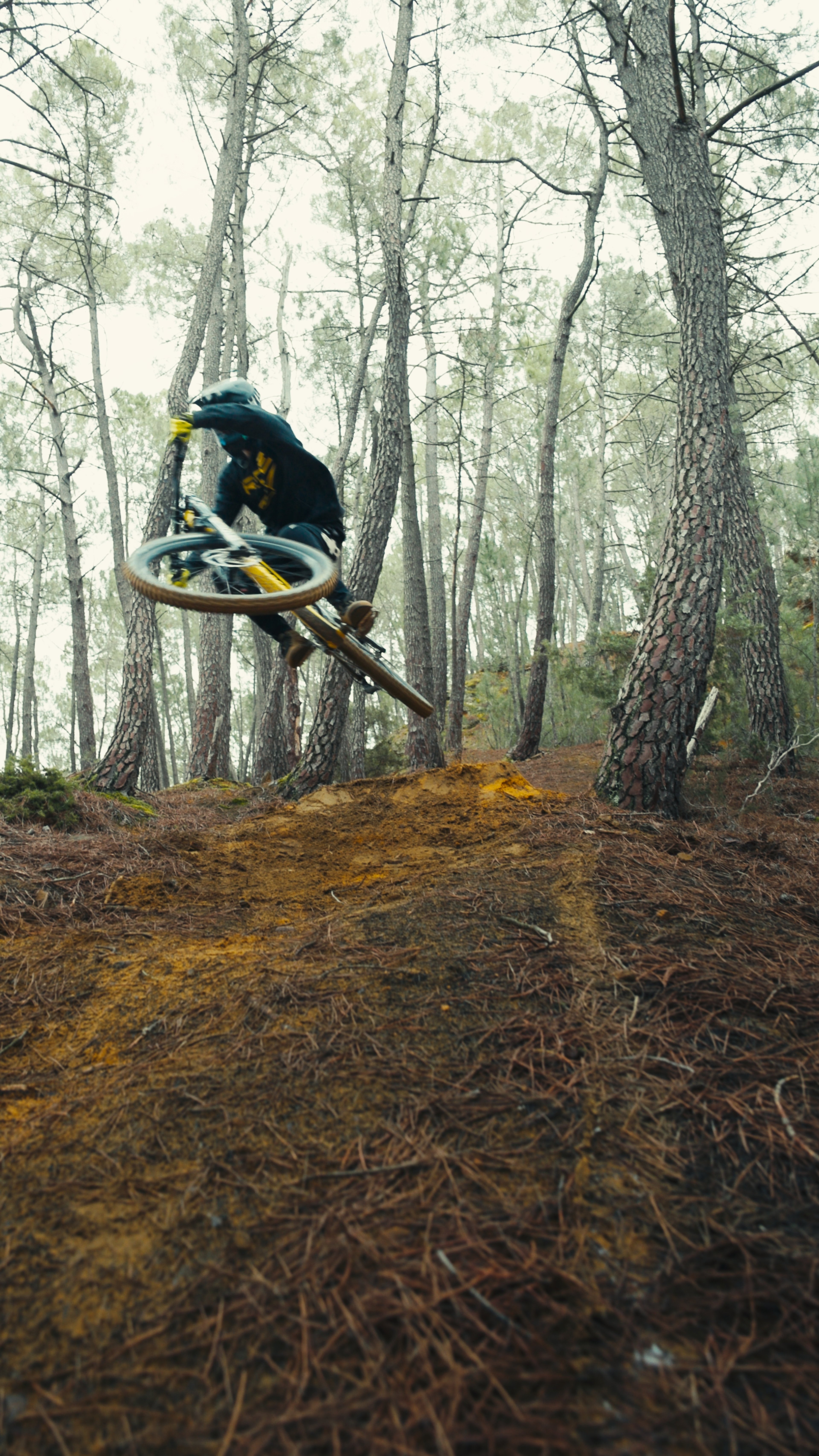 Sport photograph — KYLIAN BRELIERE X FORESTAL, VAUCLUSE, 10