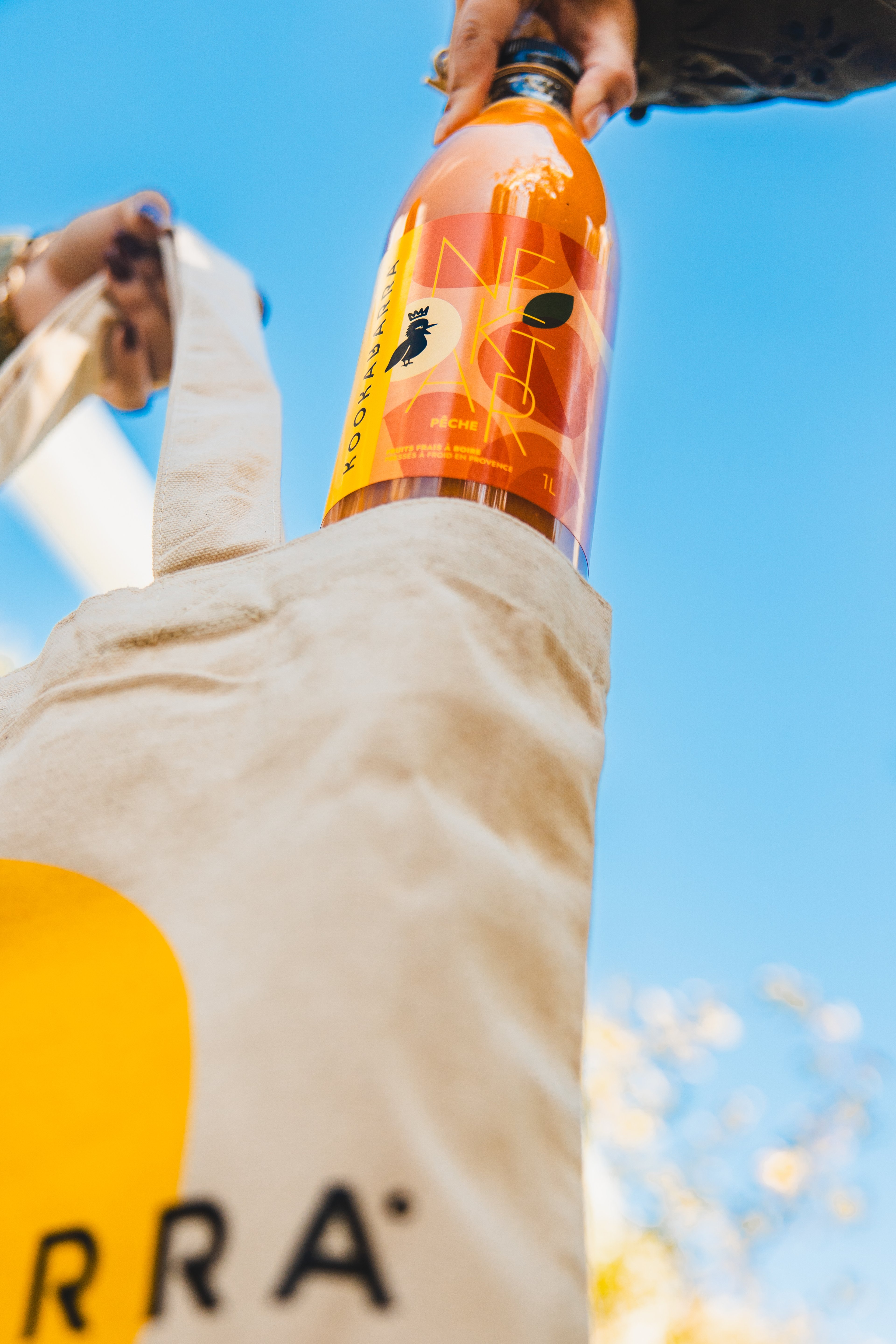 Brand photograph — CAMPAGNE KOOKABARRA, CAVAILLON, 31