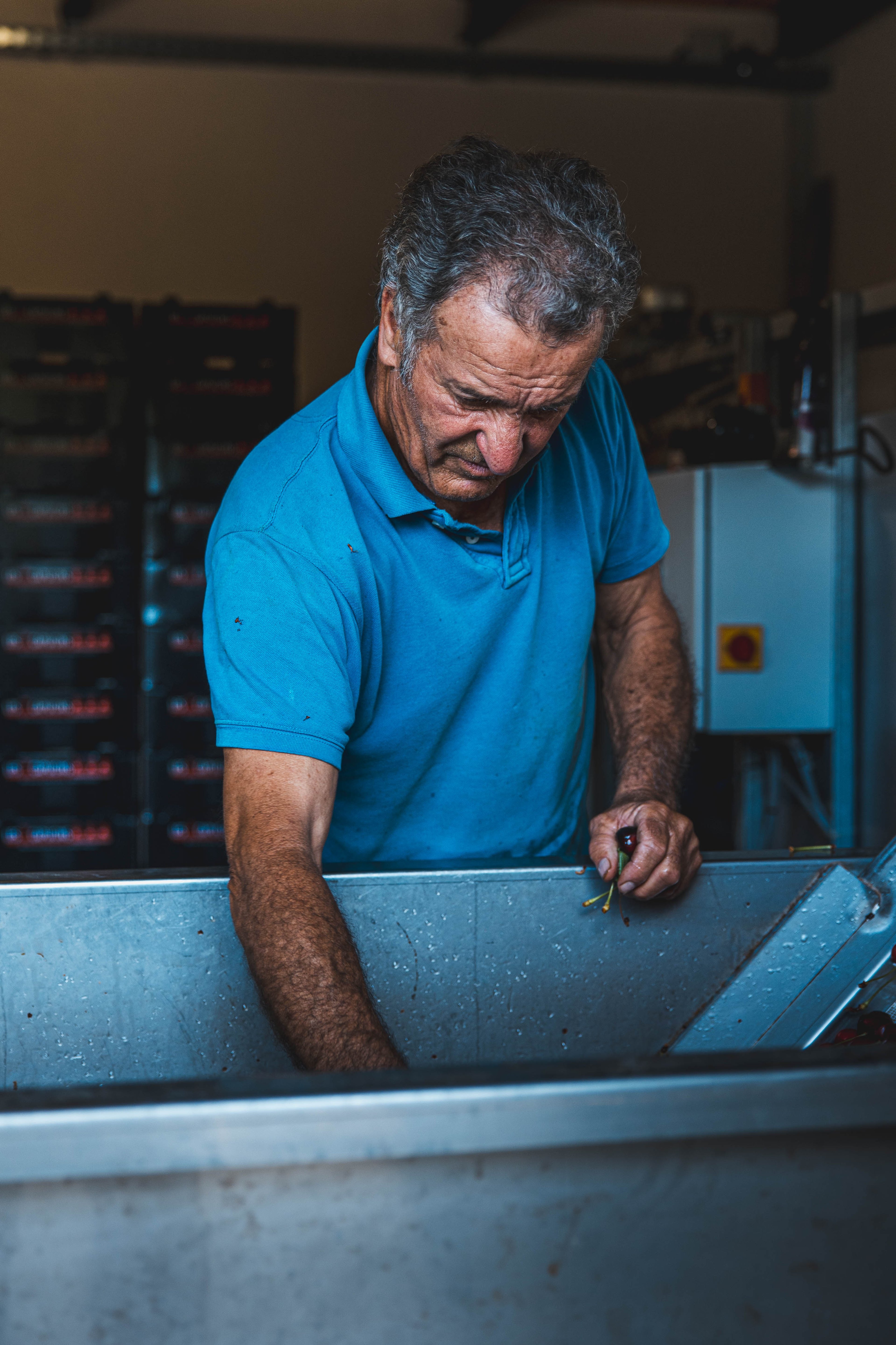 Brand photograph — CAMPAGNE KOOKABARRA, CAVAILLON, 6