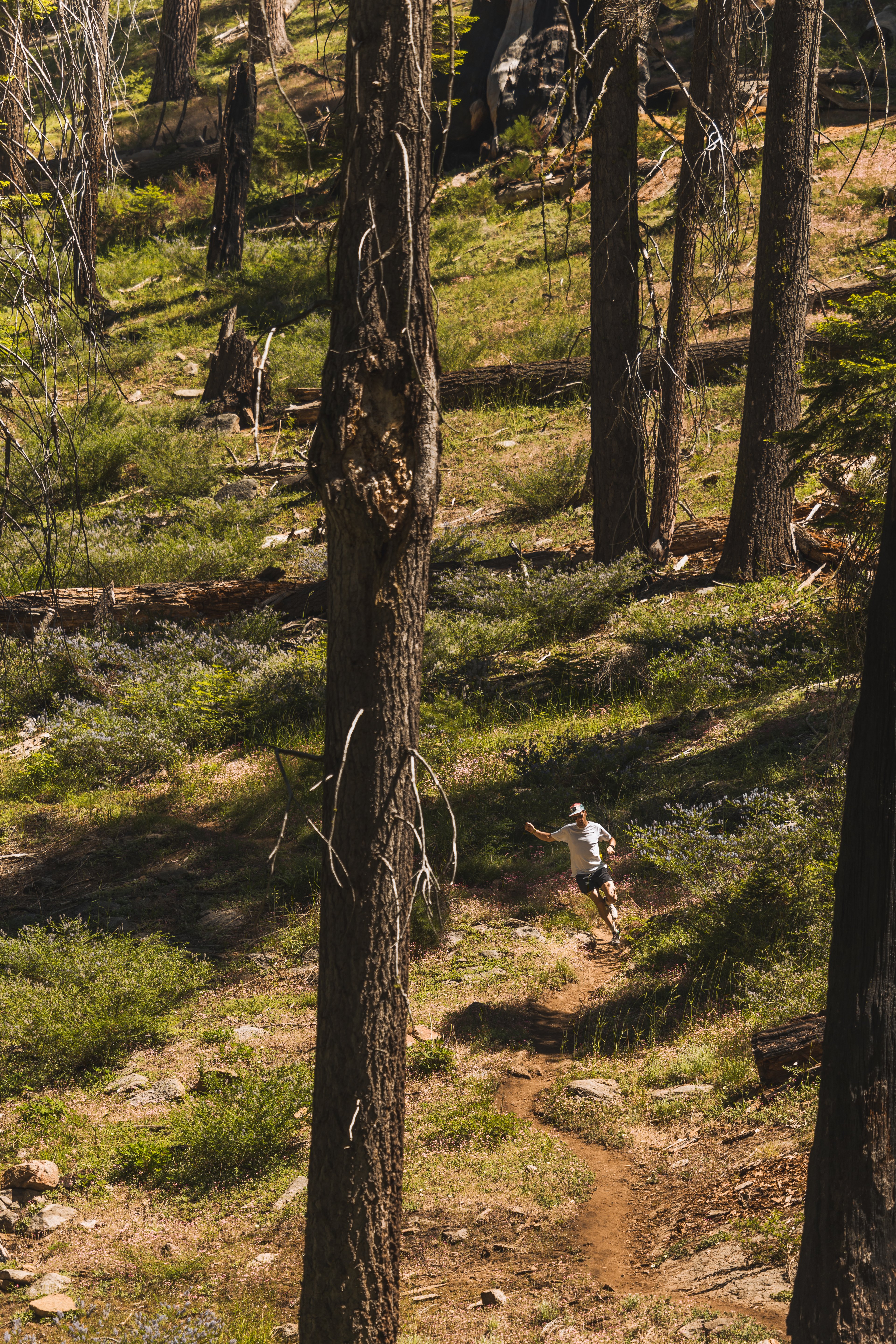 Photo de sport — ULTRA ENTREP-RUNNER, COURMAYEUR, 4